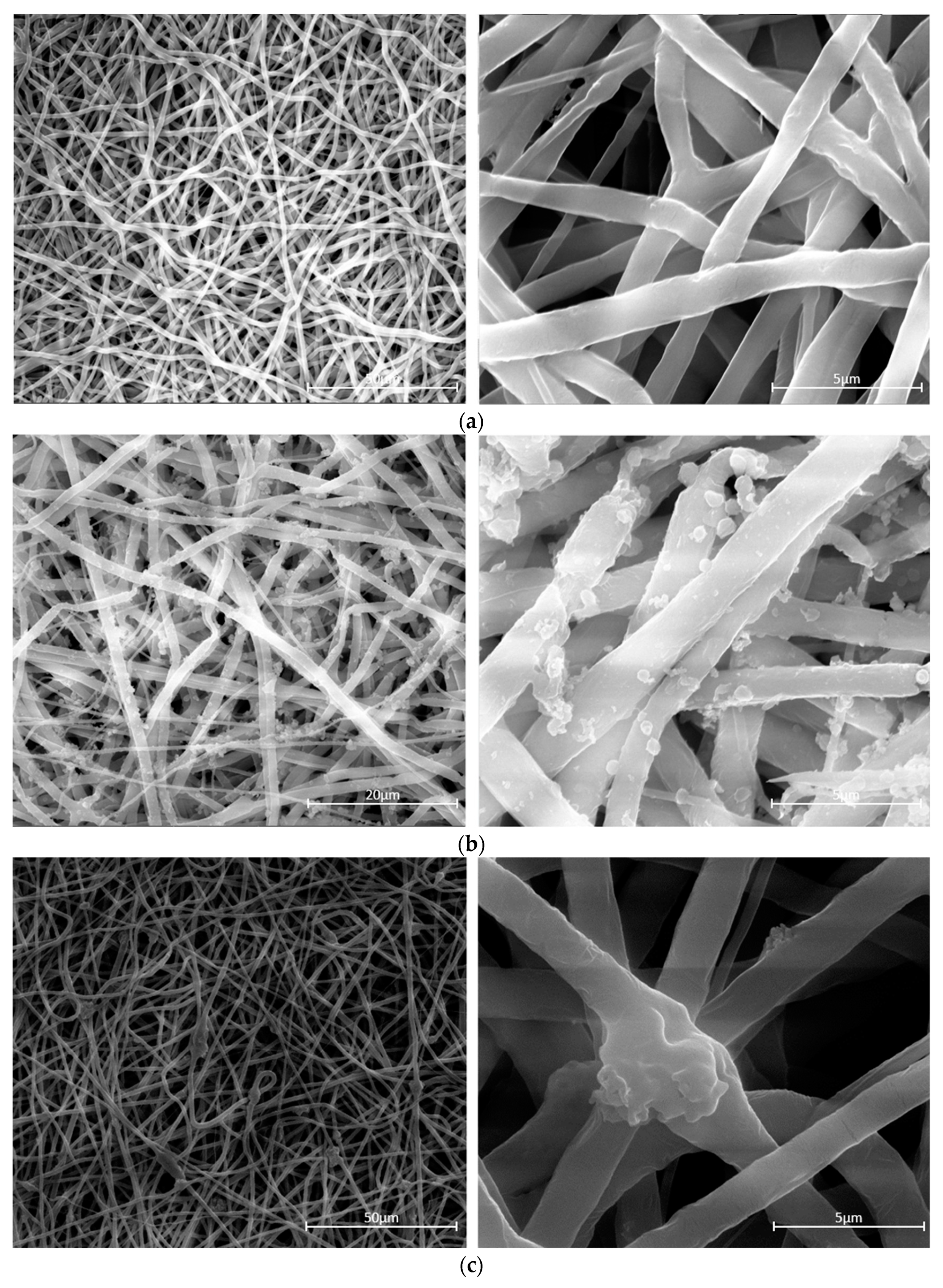 Biomolecules 13 00550 g002a