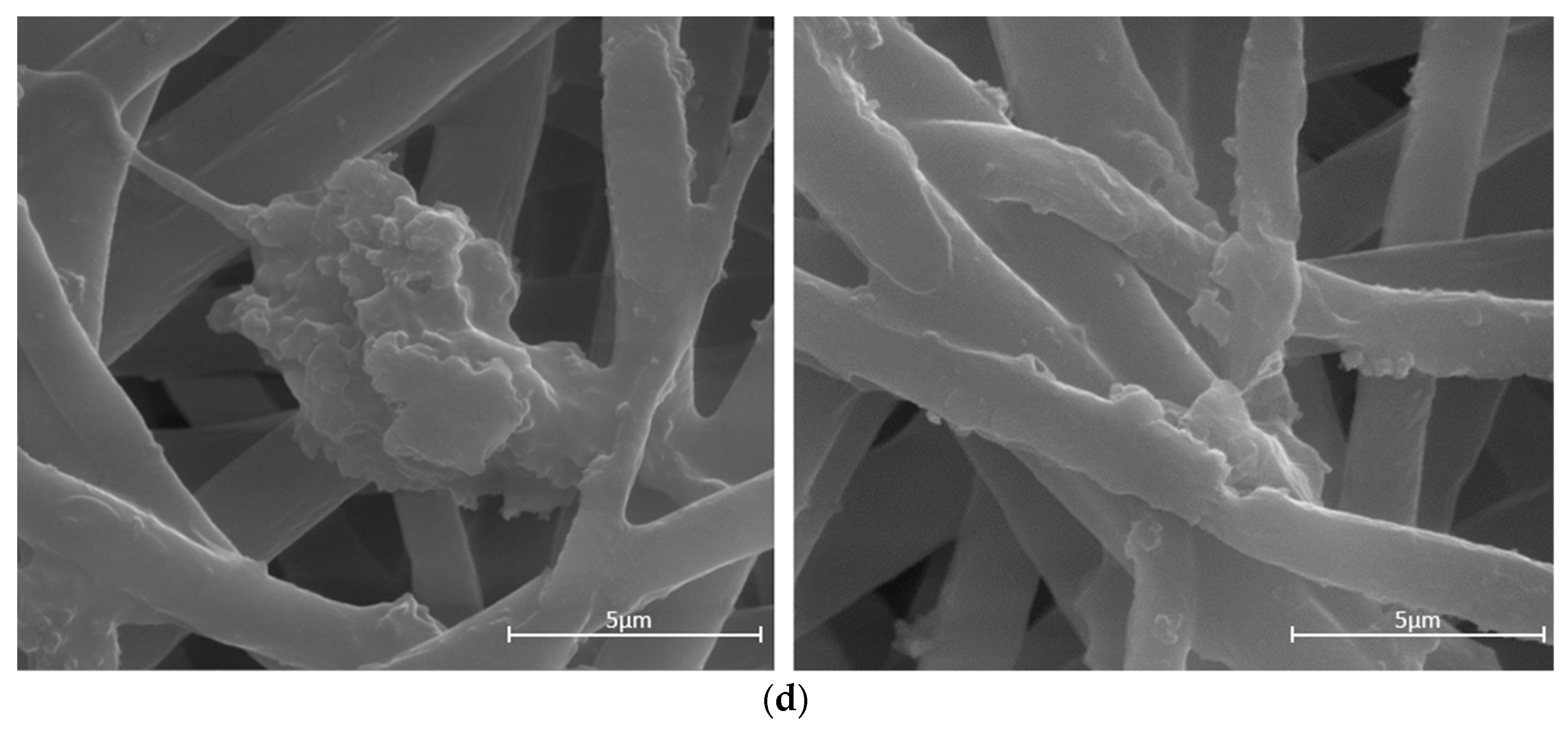 Biomolecules 13 00550 g002b