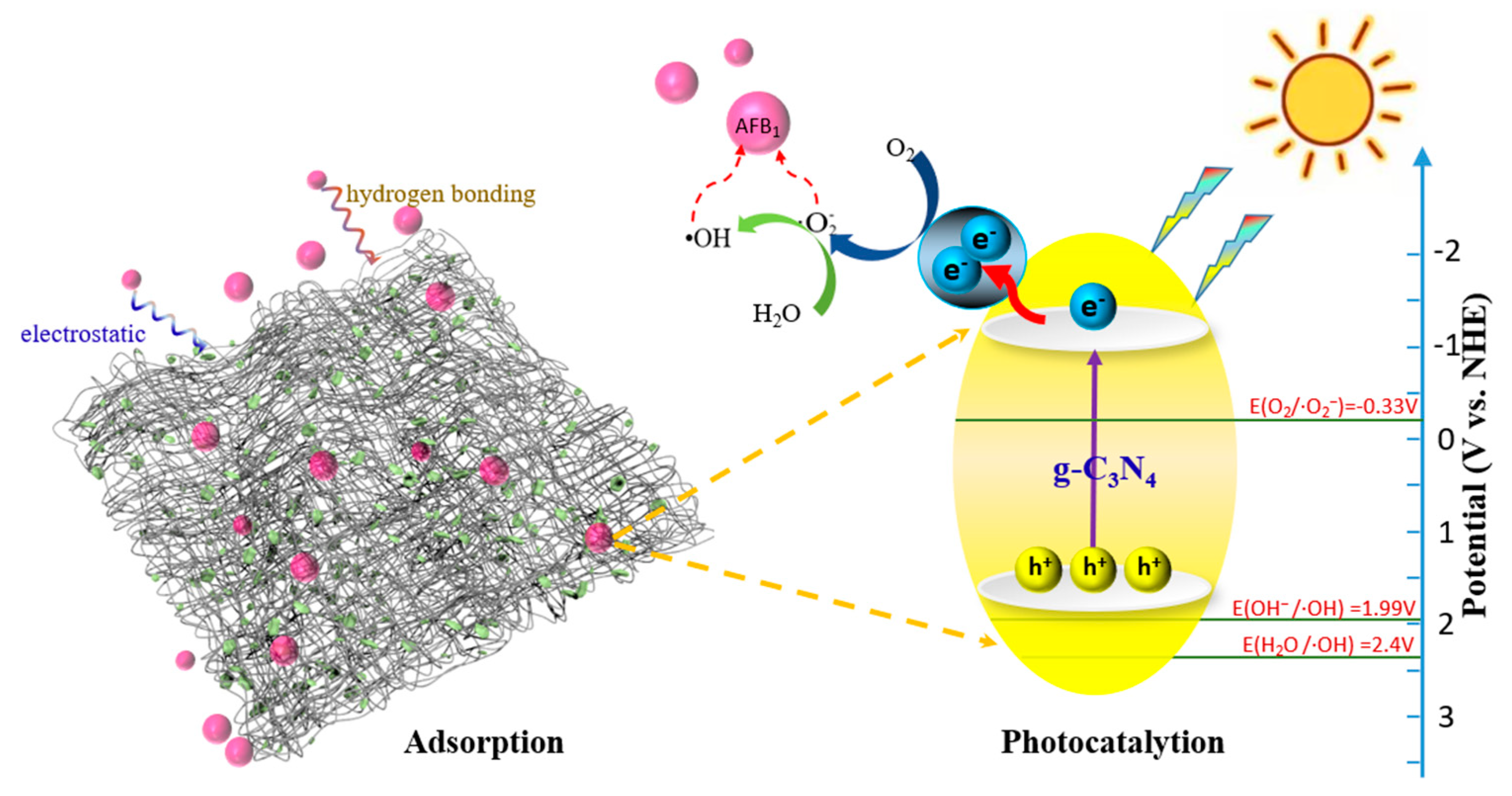 Biomolecules 13 00550 g012