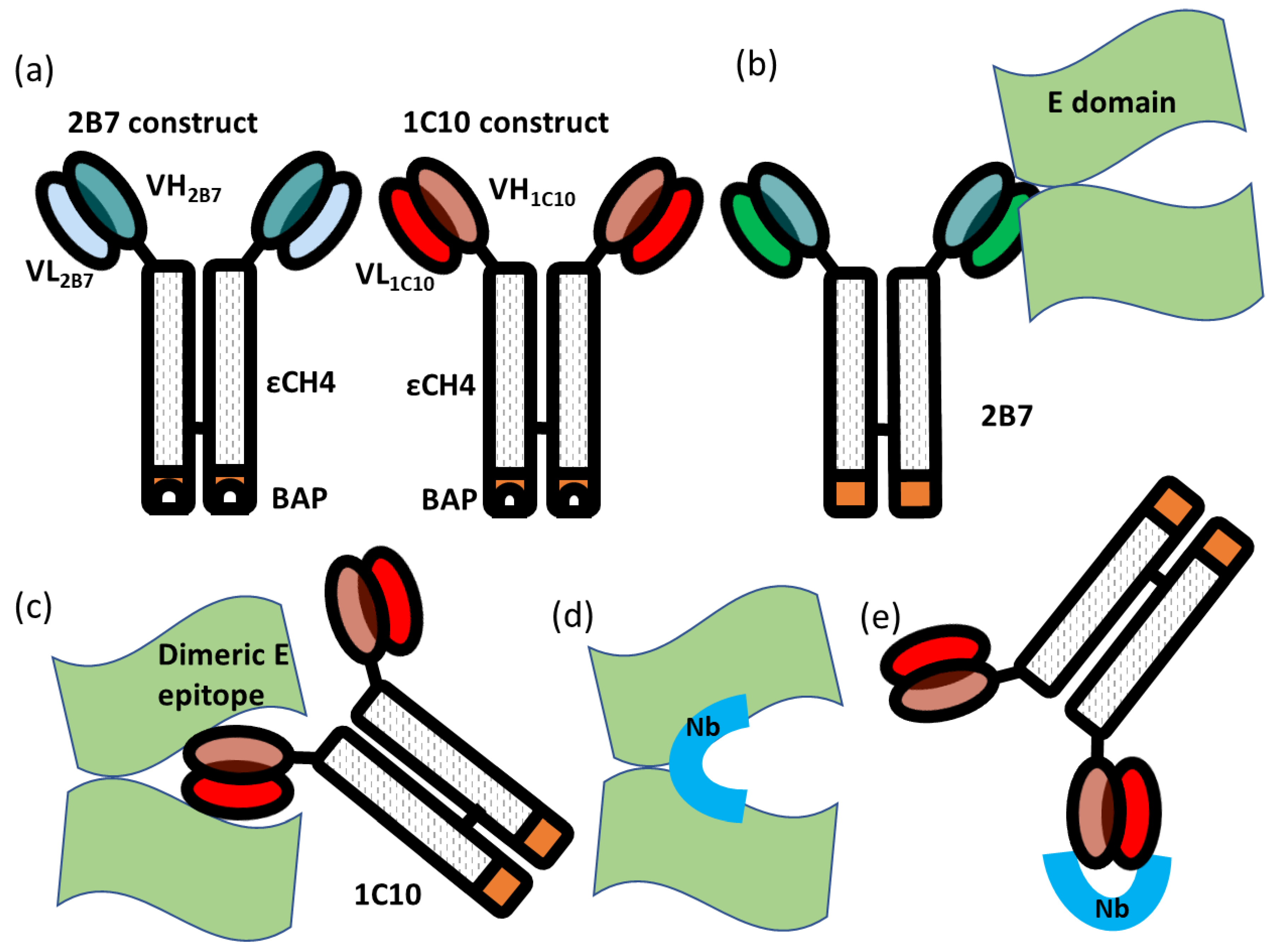 Biomolecules 13 00551 g001