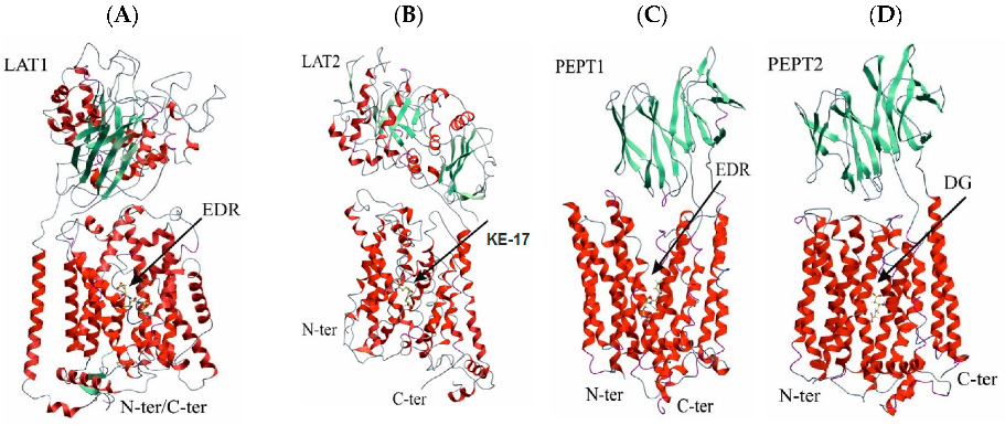 Biomolecules 13 00552 g001