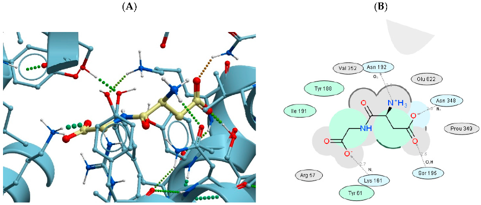 Biomolecules 13 00552 g006