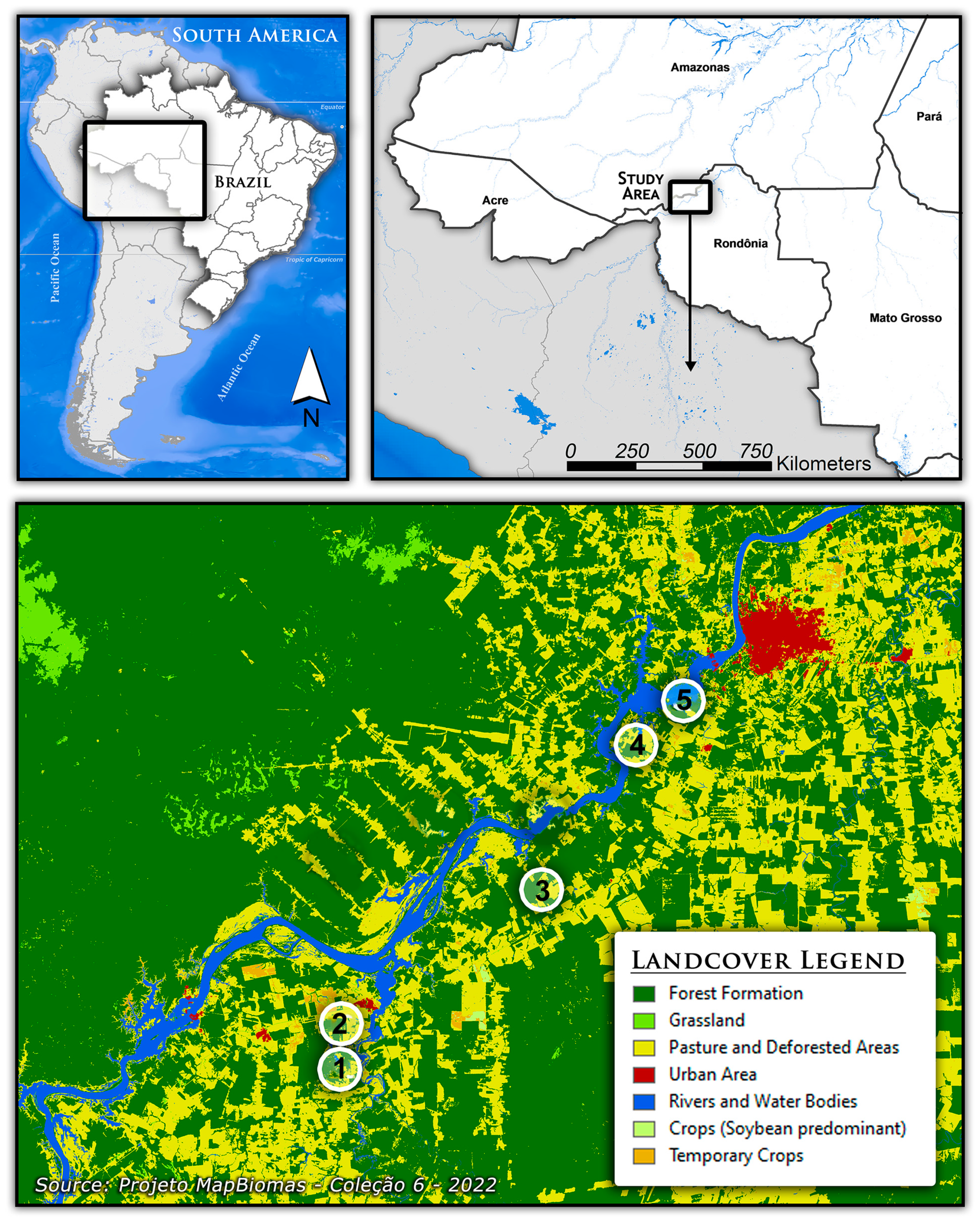 Biomolecules 13 00553 g001