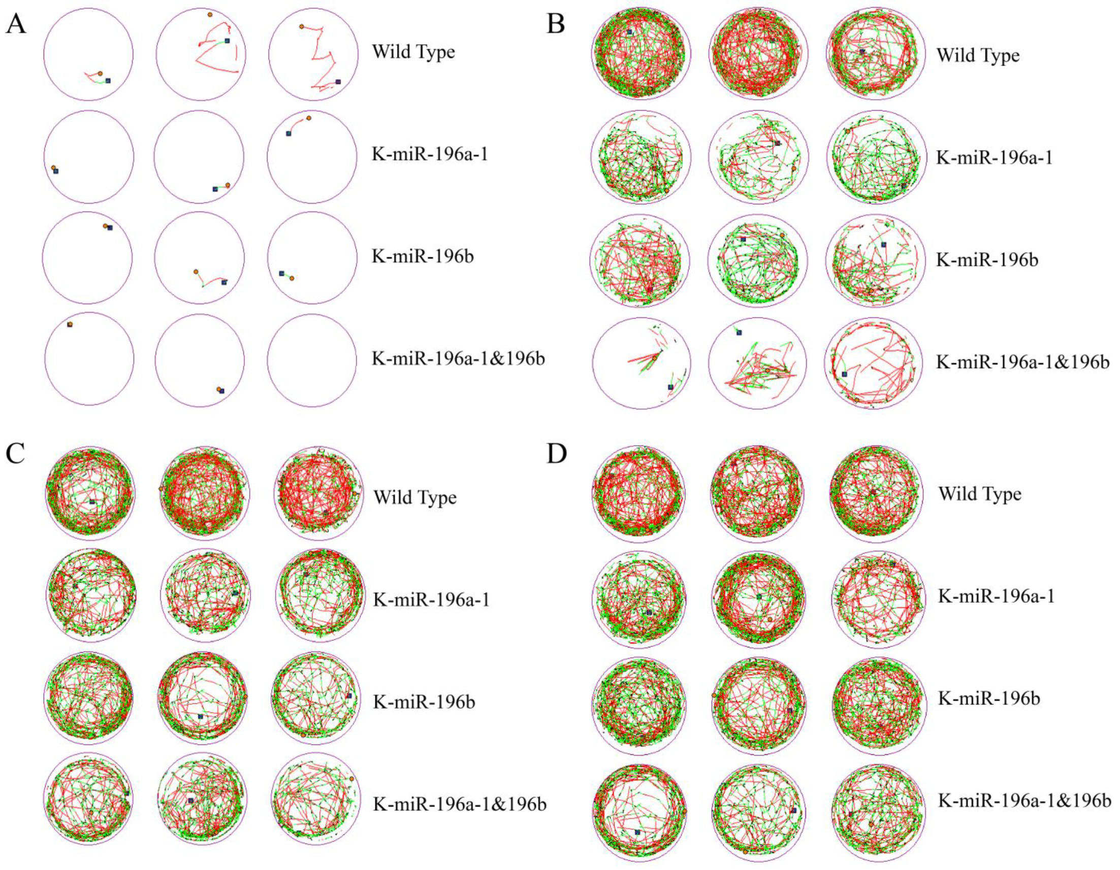 Biomolecules 13 00554 g001