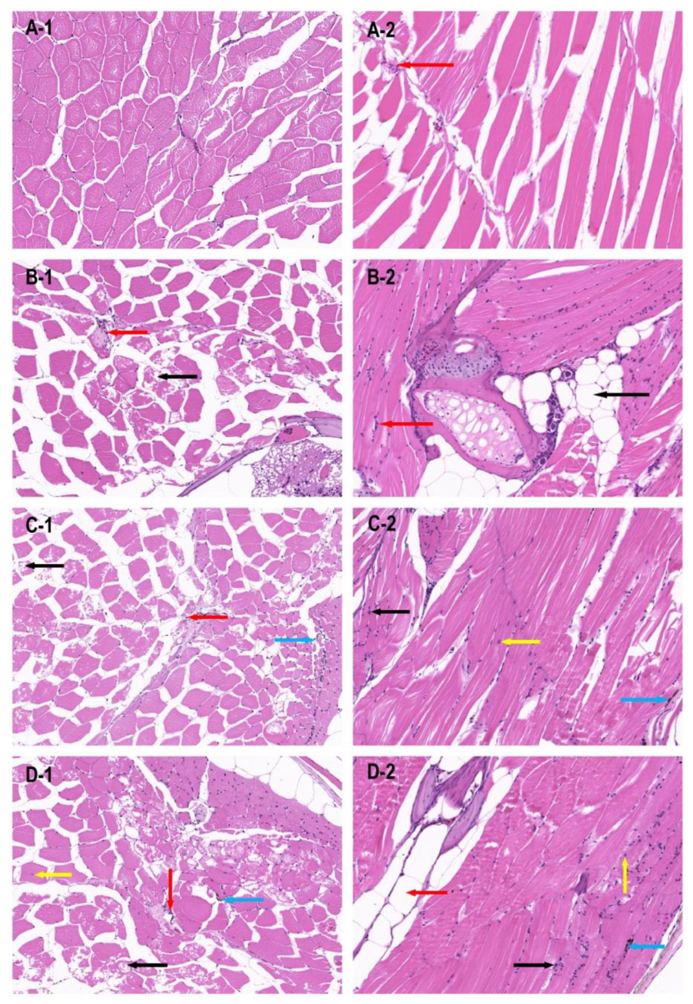 Biomolecules 13 00554 g003