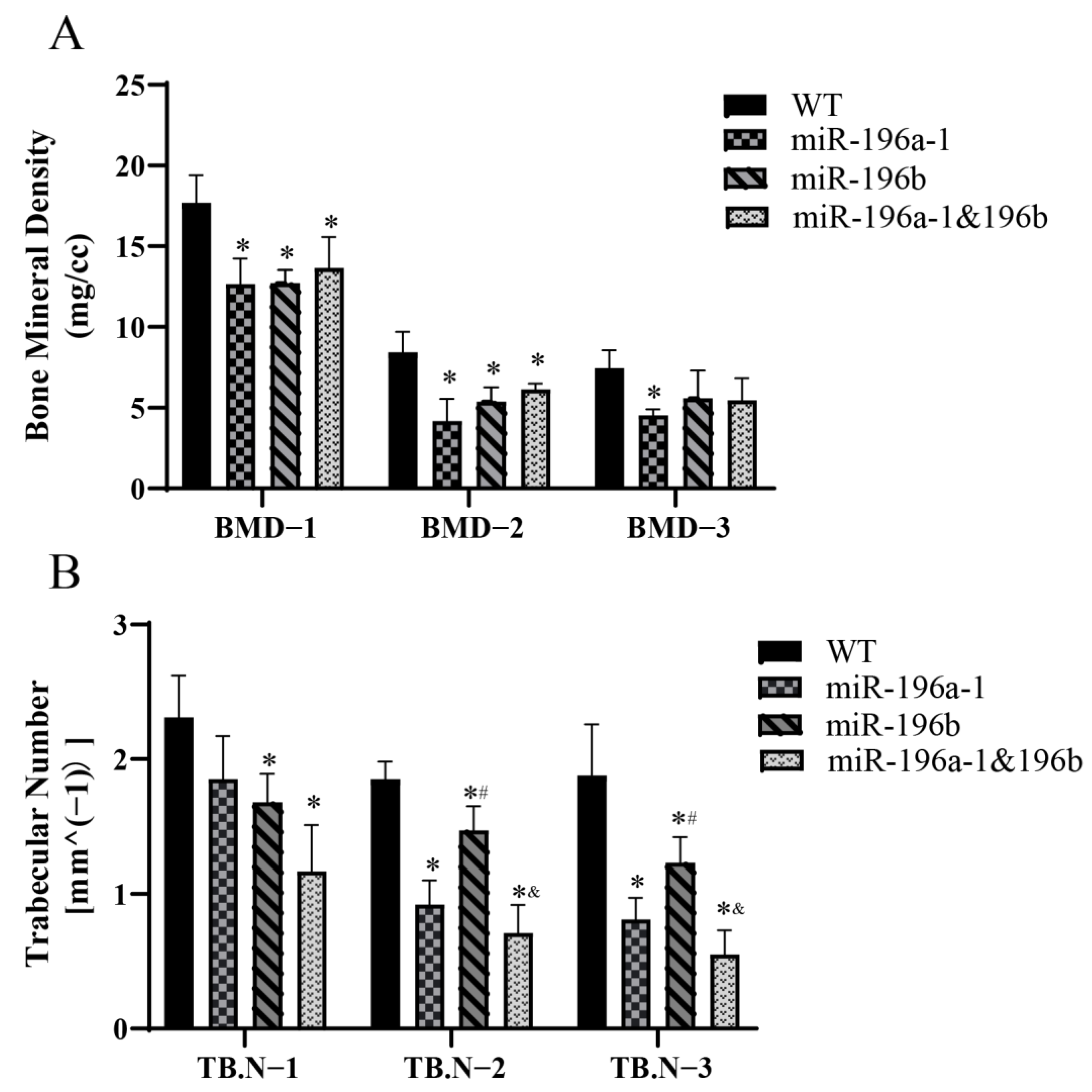 Biomolecules 13 00554 g006