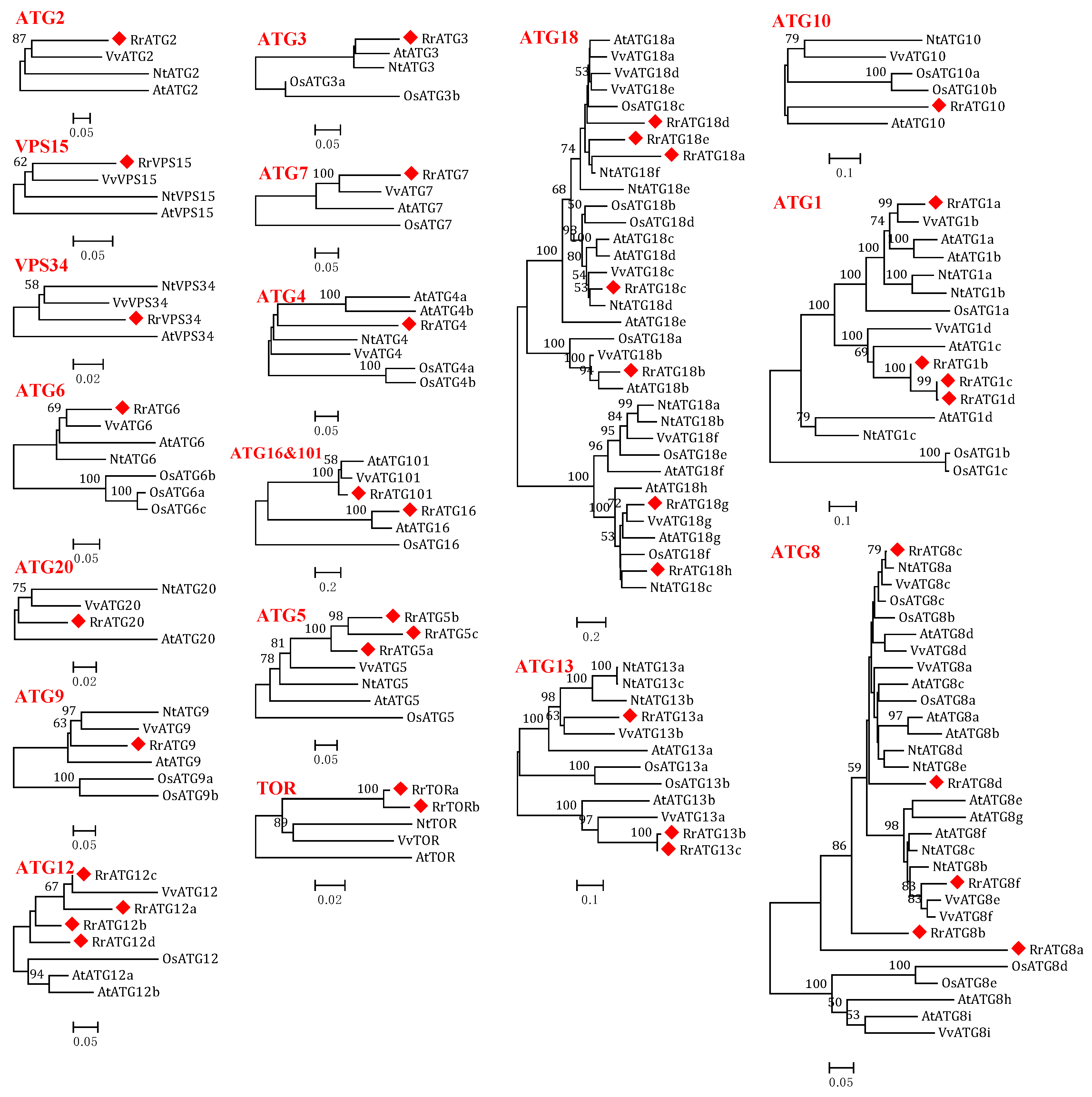 Biomolecules 13 00556 g001