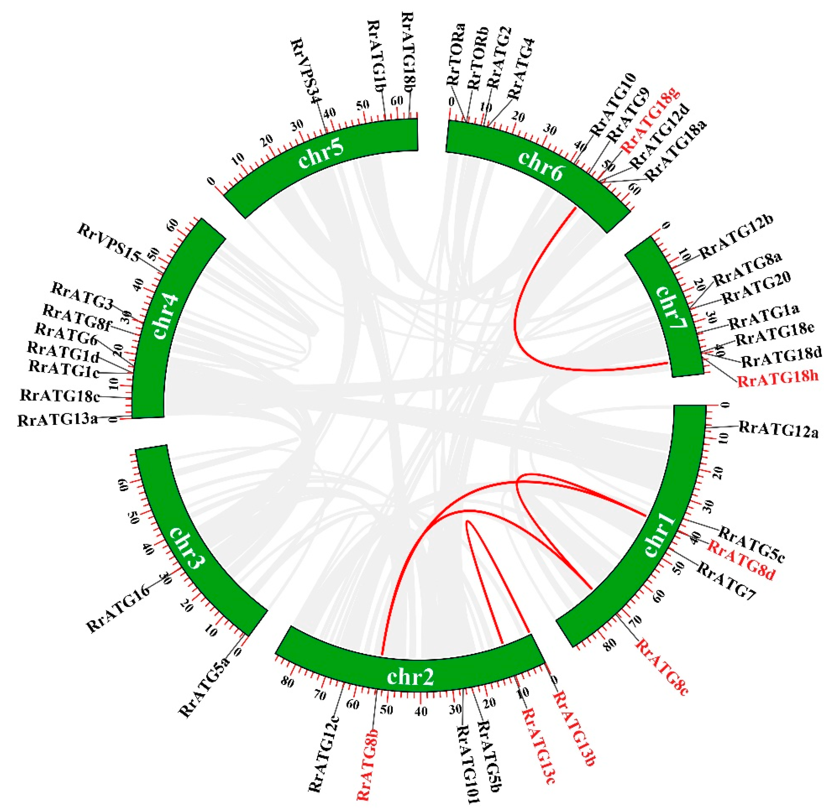 Biomolecules 13 00556 g002