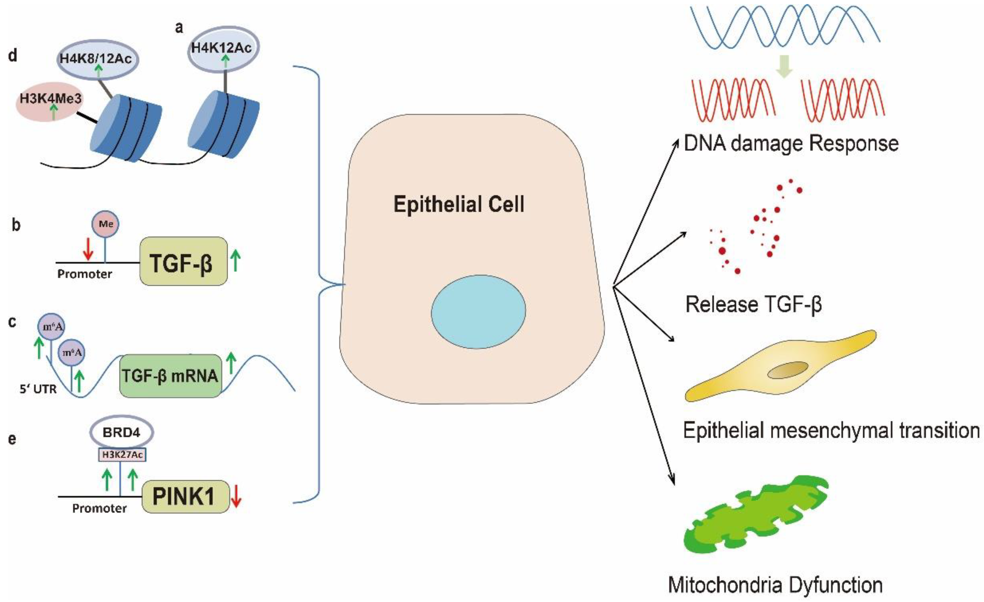 Biomolecules 13 00558 g001