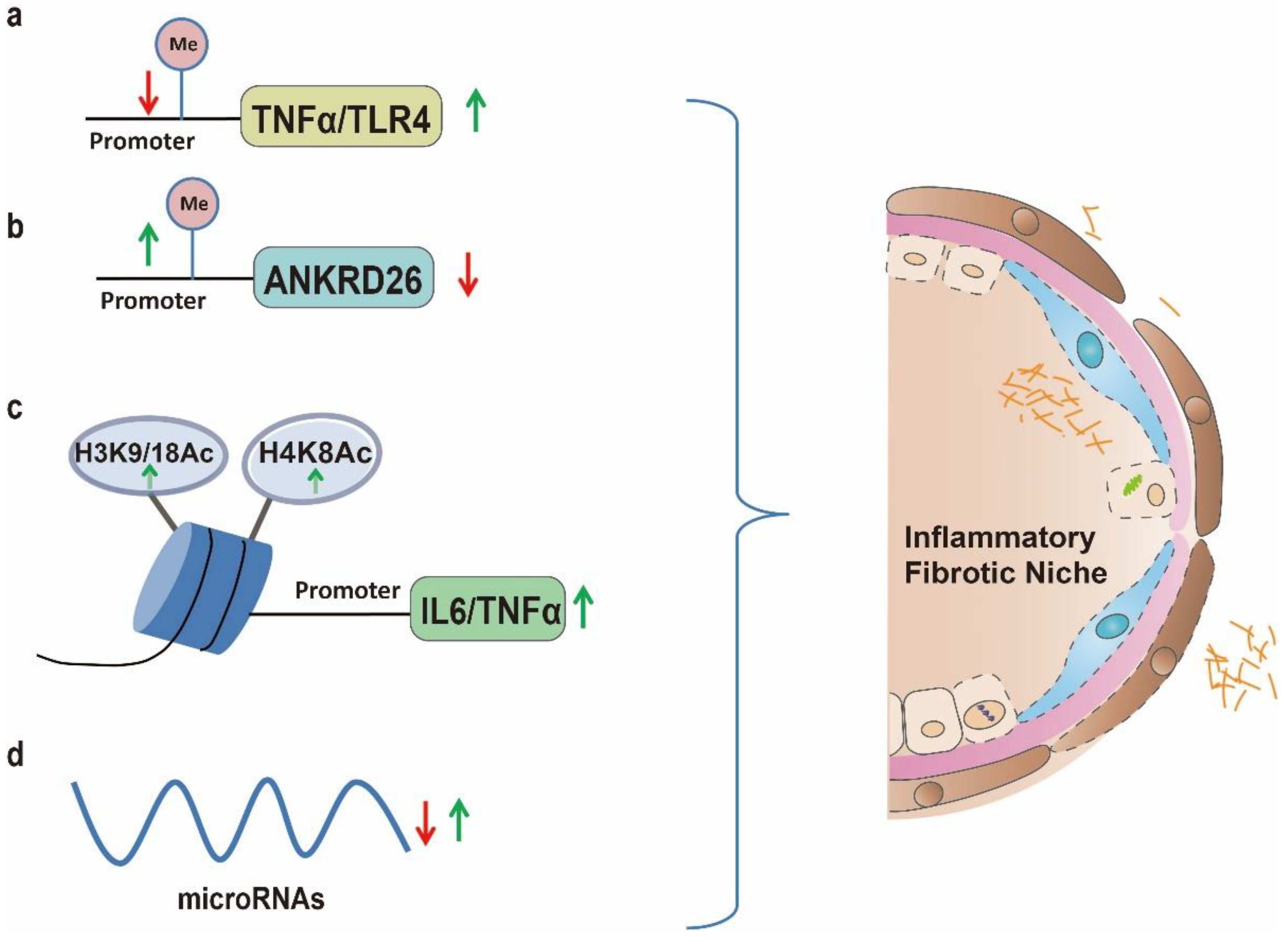 Biomolecules 13 00558 g003