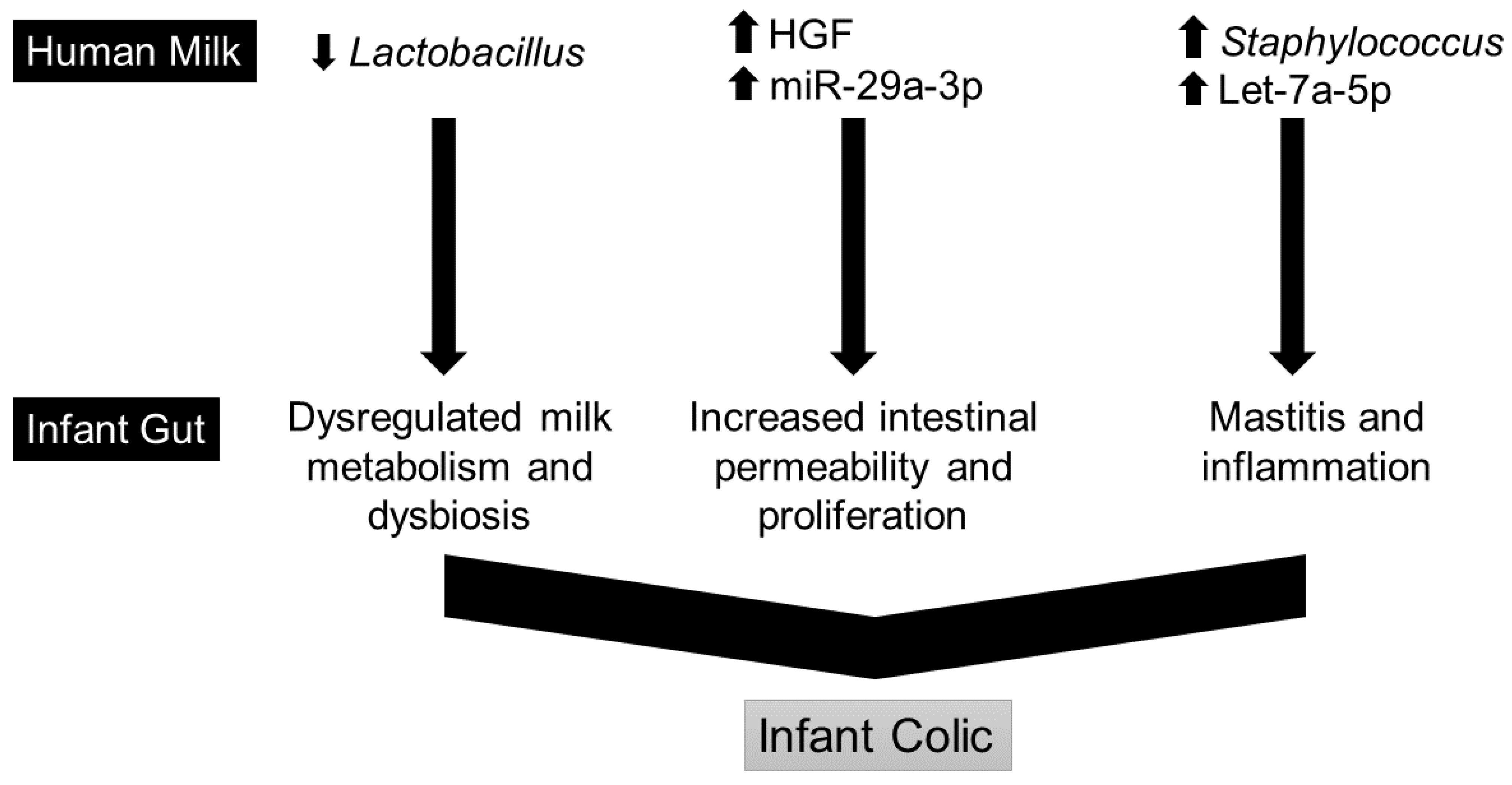 Biomolecules 13 00559 g006 Biomolecules 13 00559 g006