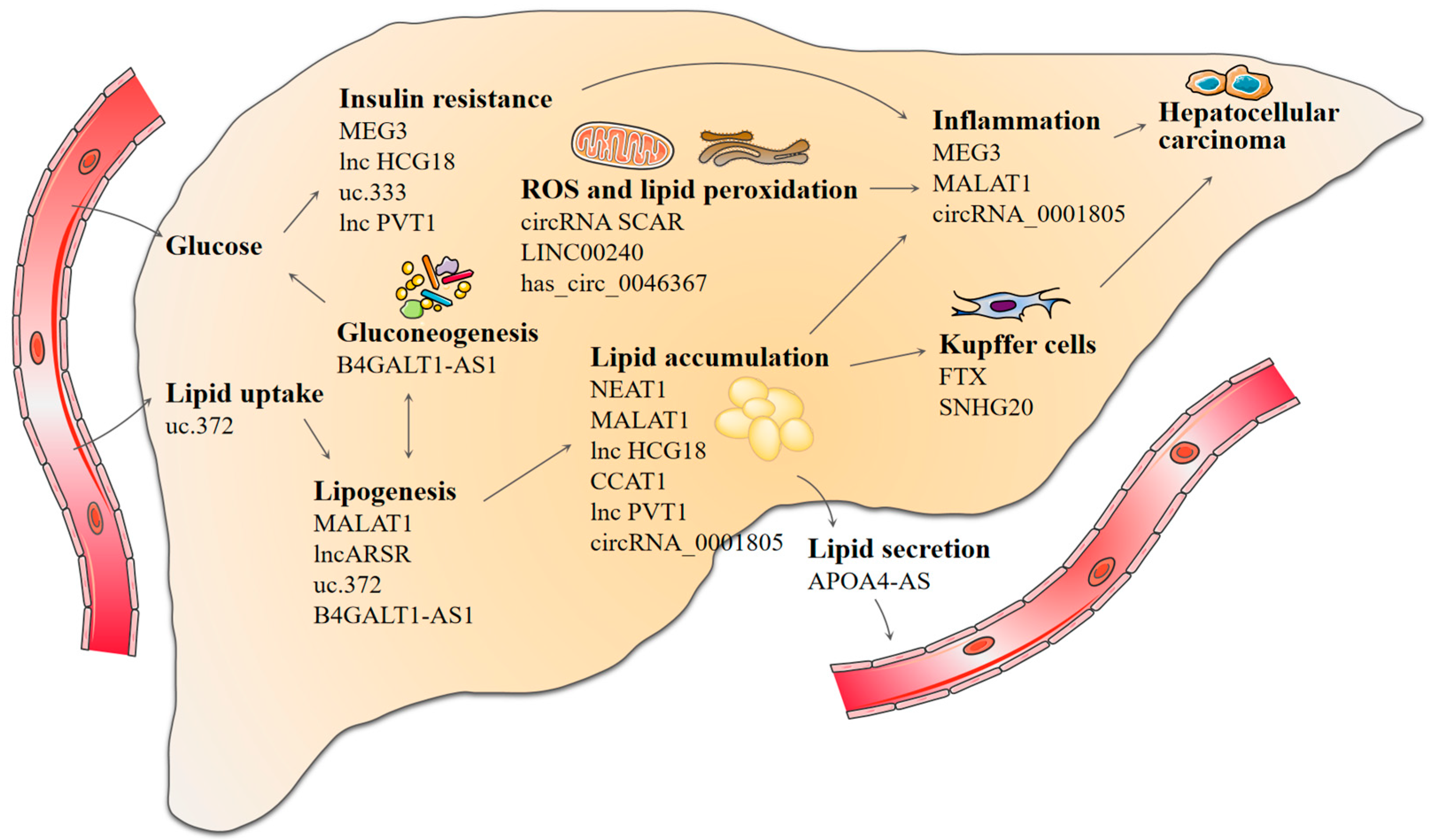 Biomolecules 13 00560 g003 Biomolecules 13 00560 g003