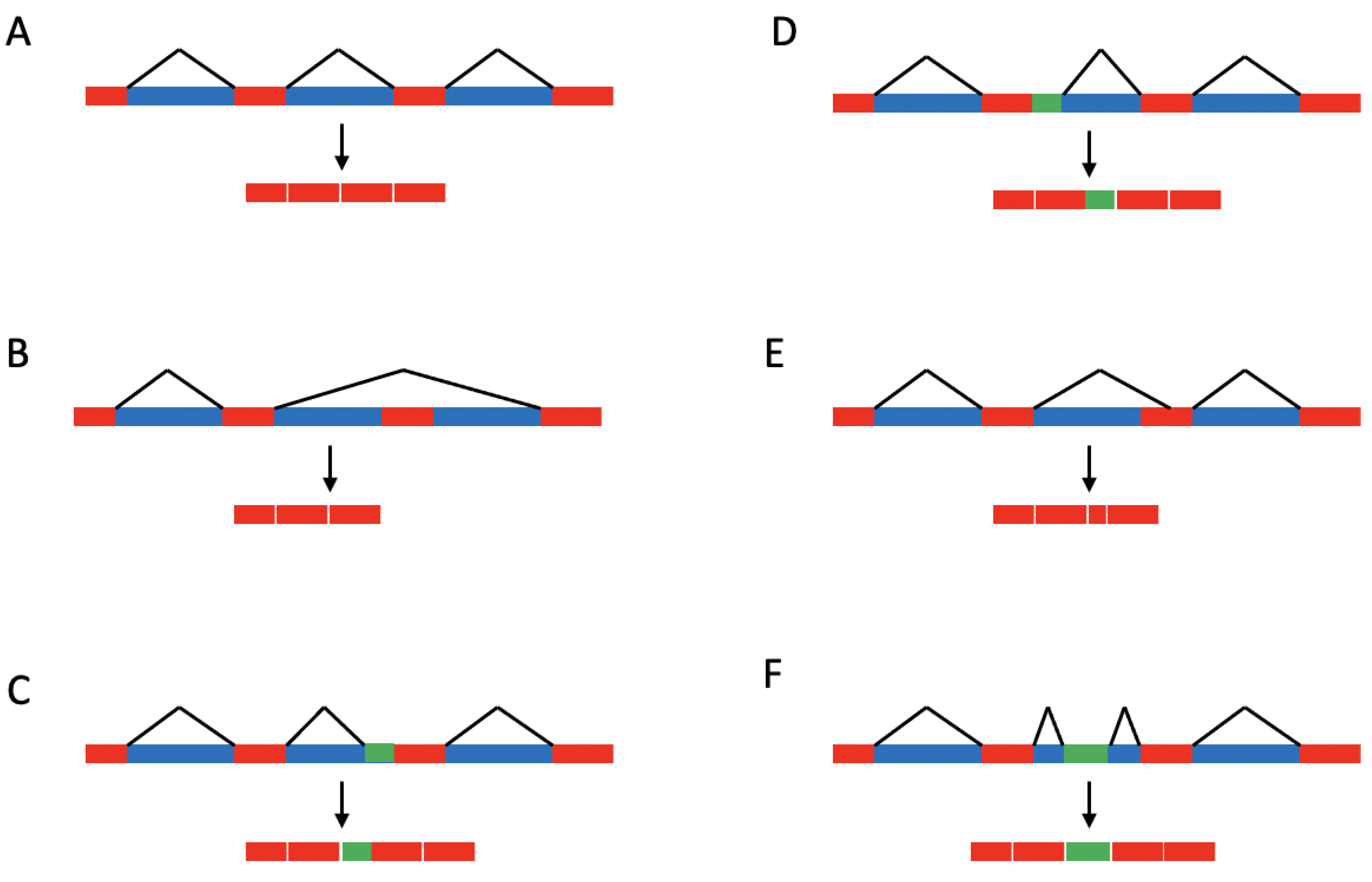 Biomolecules 13 00561 g002 Biomolecules 13 00561 g002