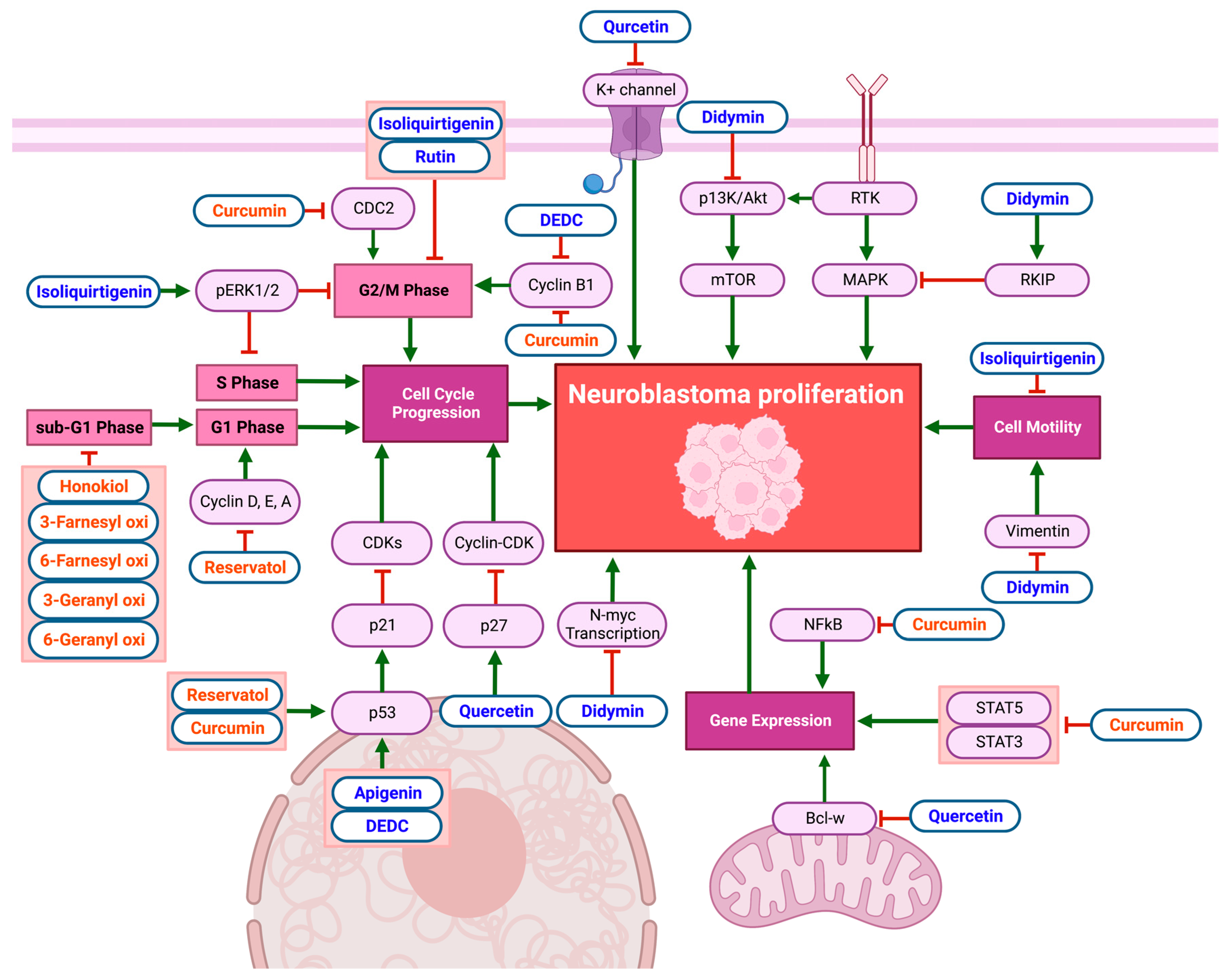 Biomolecules 13 00563 g003