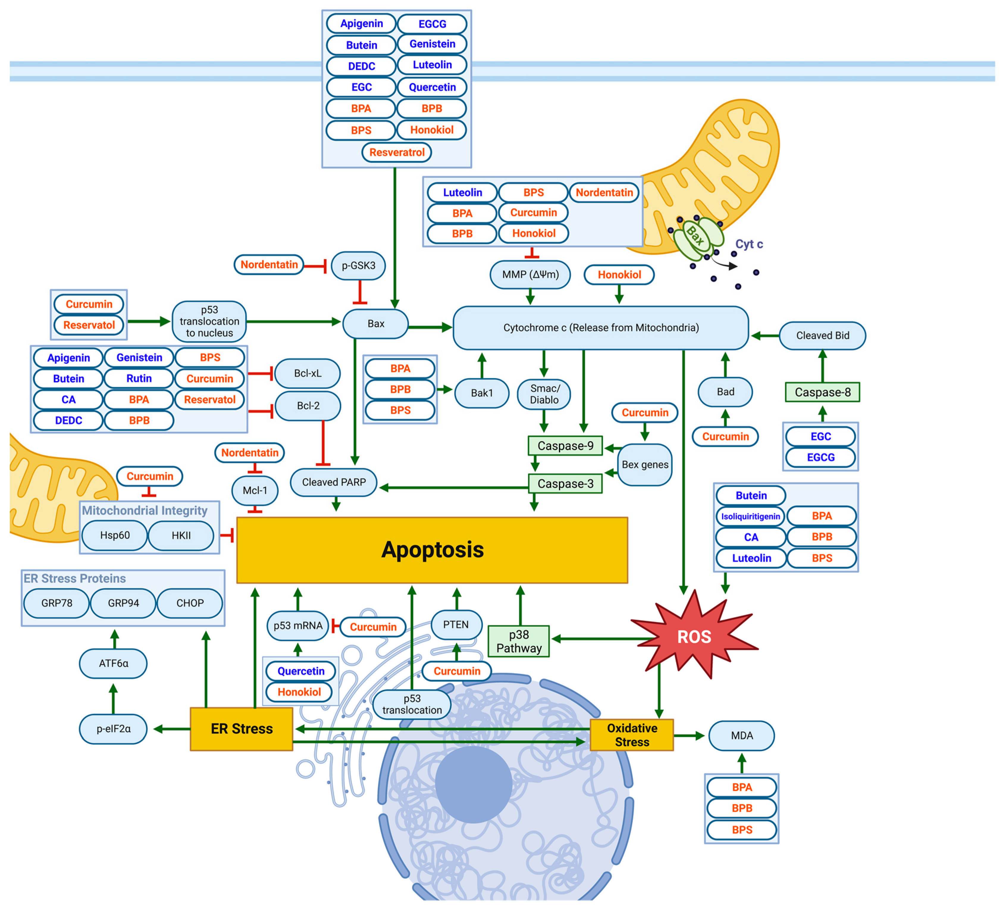 Biomolecules 13 00563 g004