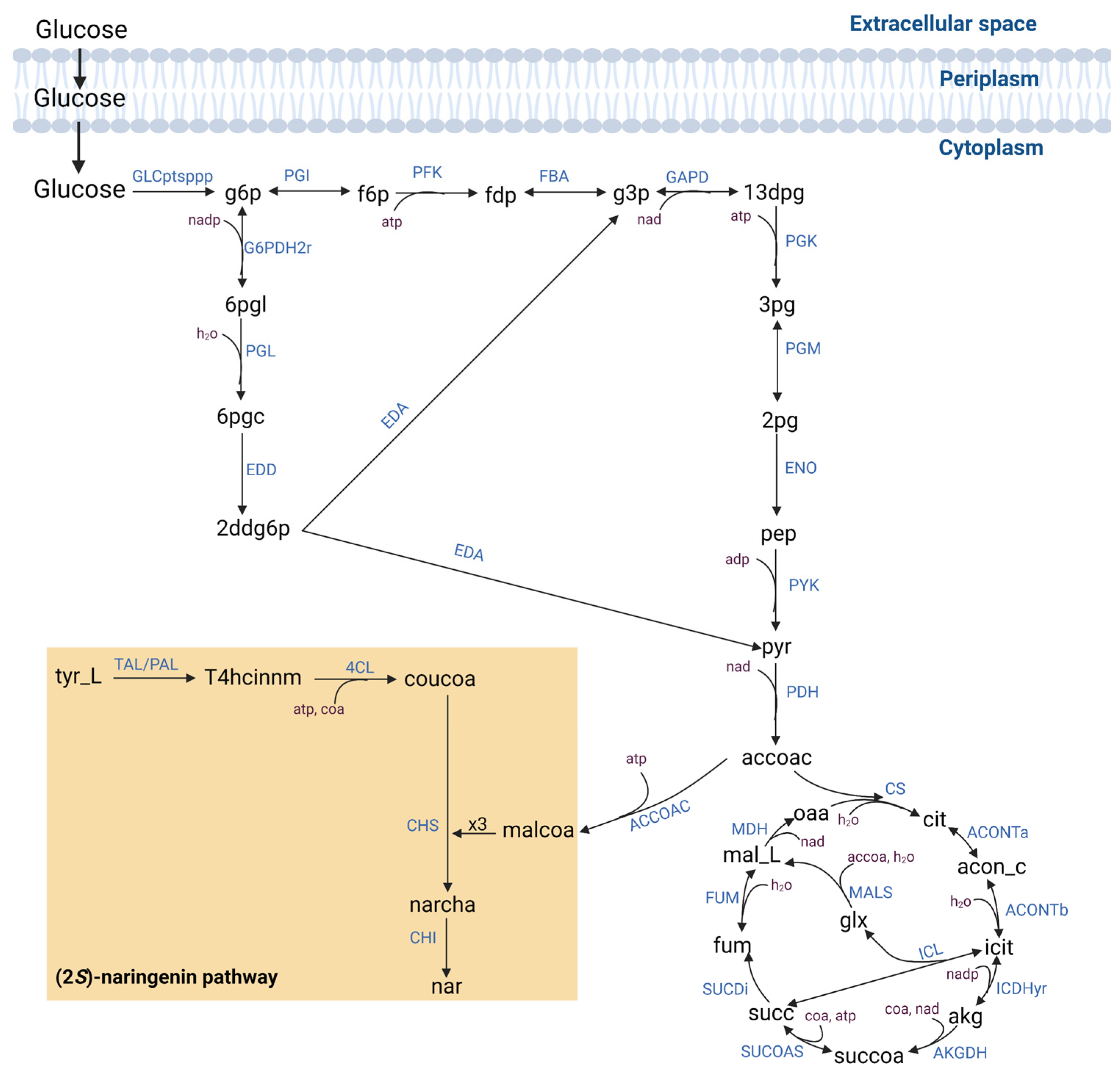 Biomolecules 13 00565 g001