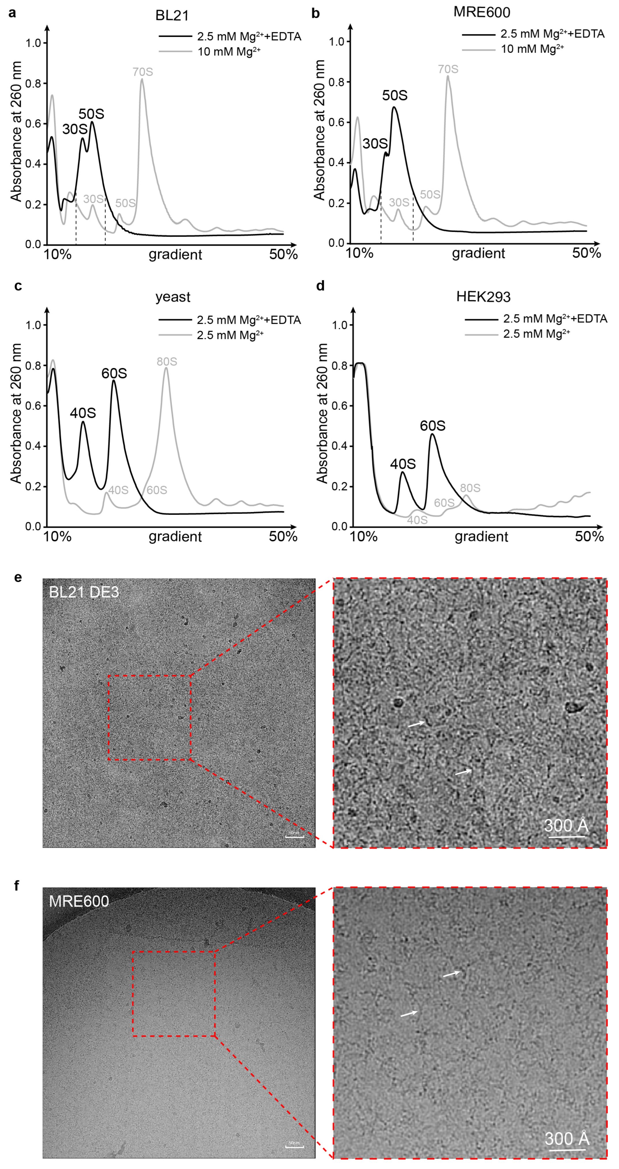 Biomolecules 13 00566 g001