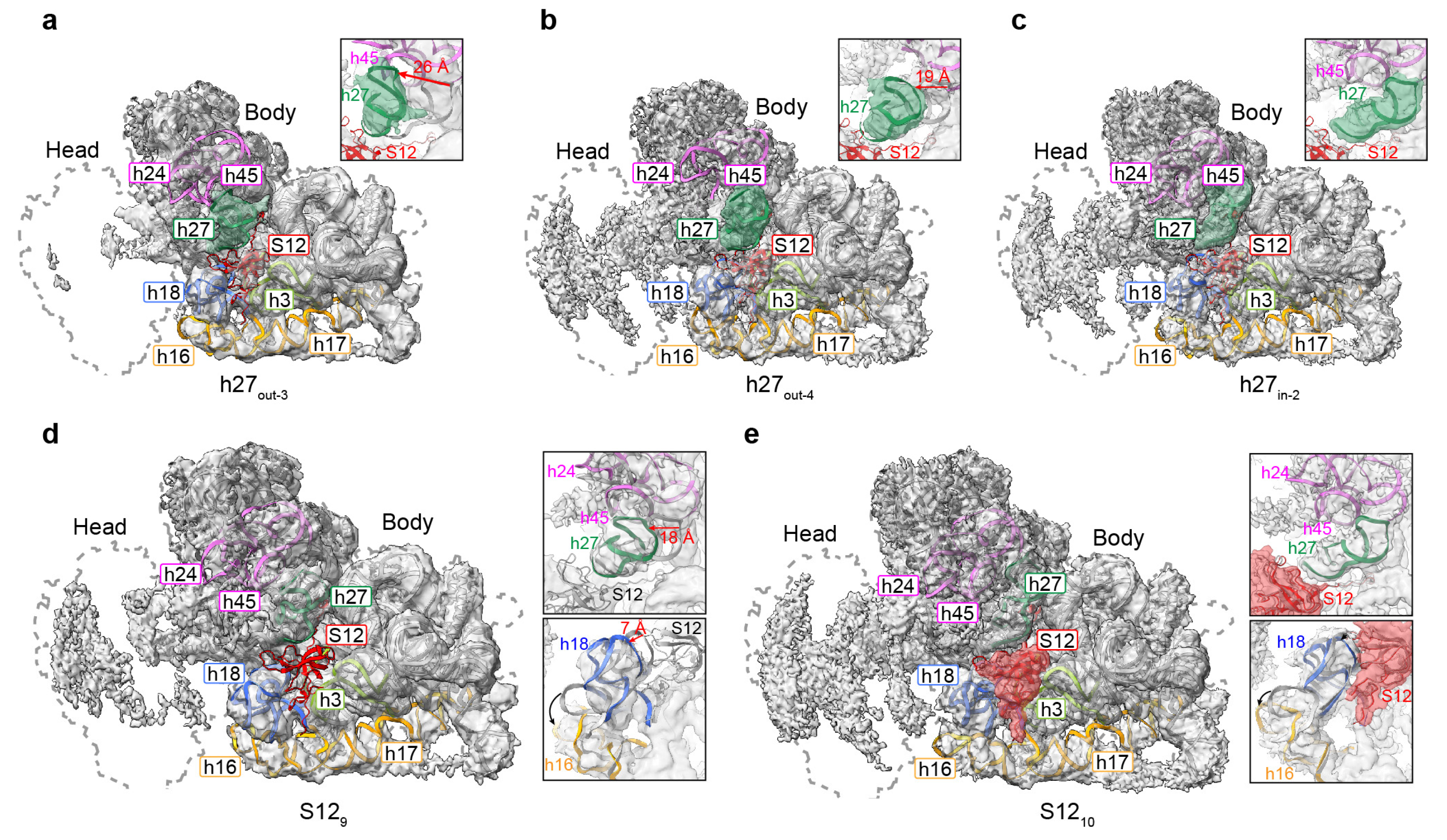 Biomolecules 13 00566 g003