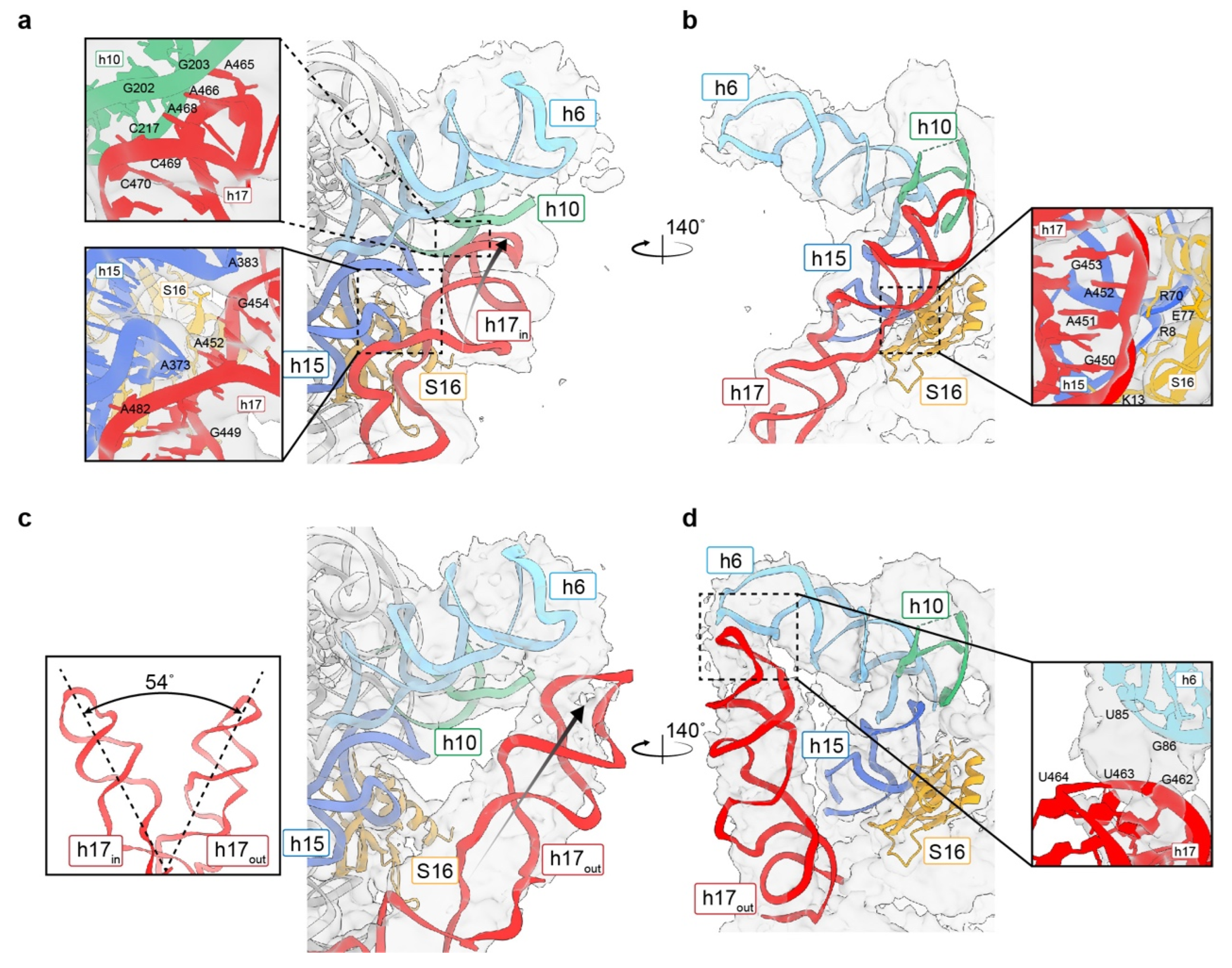 Biomolecules 13 00566 g004