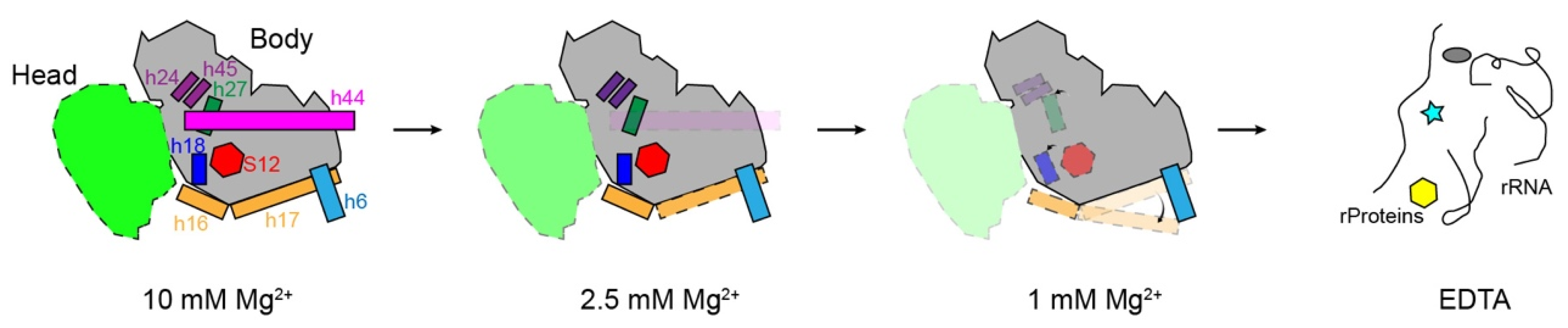 Biomolecules 13 00566 g007