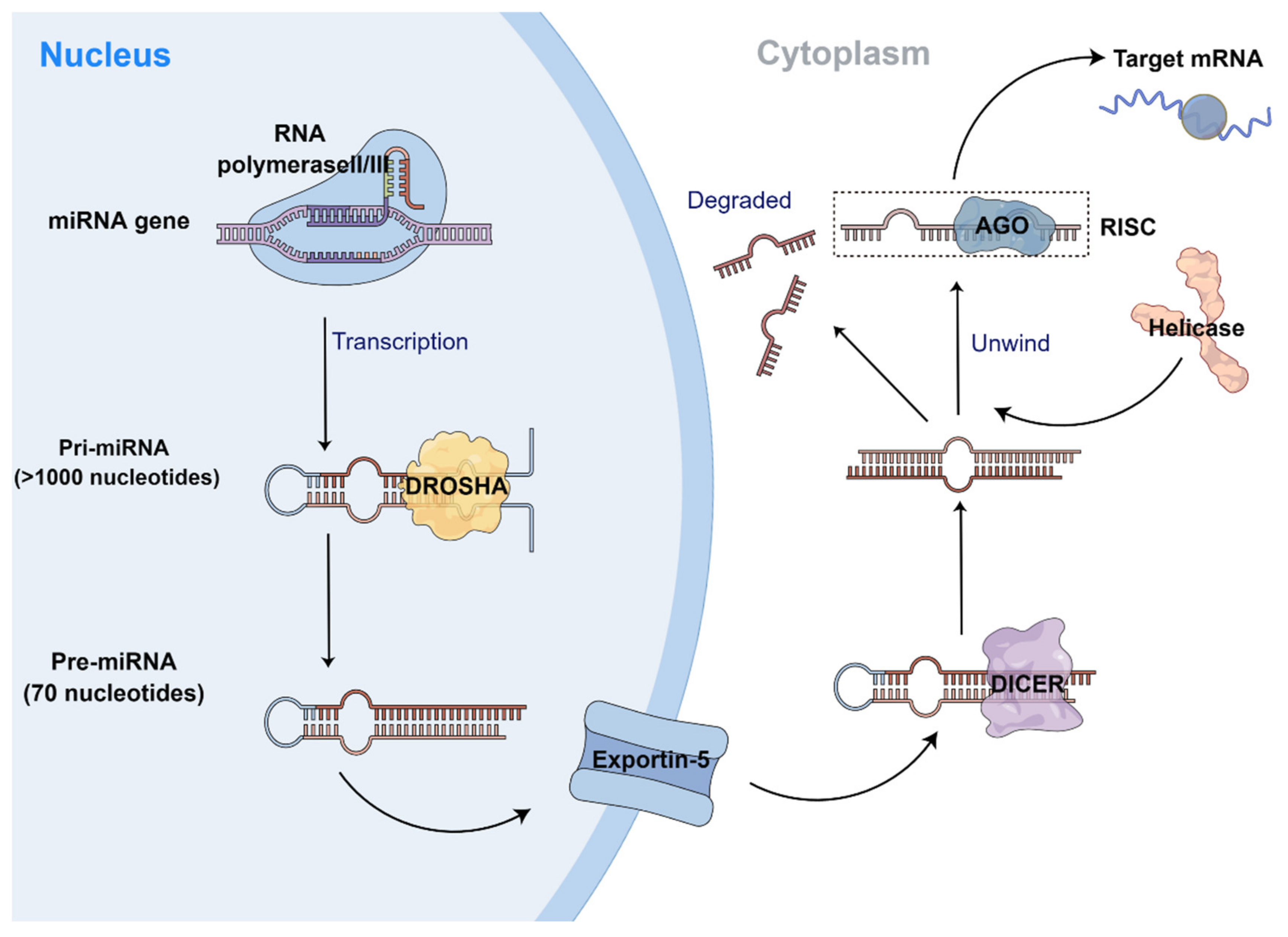Biomolecules 13 00568 g001