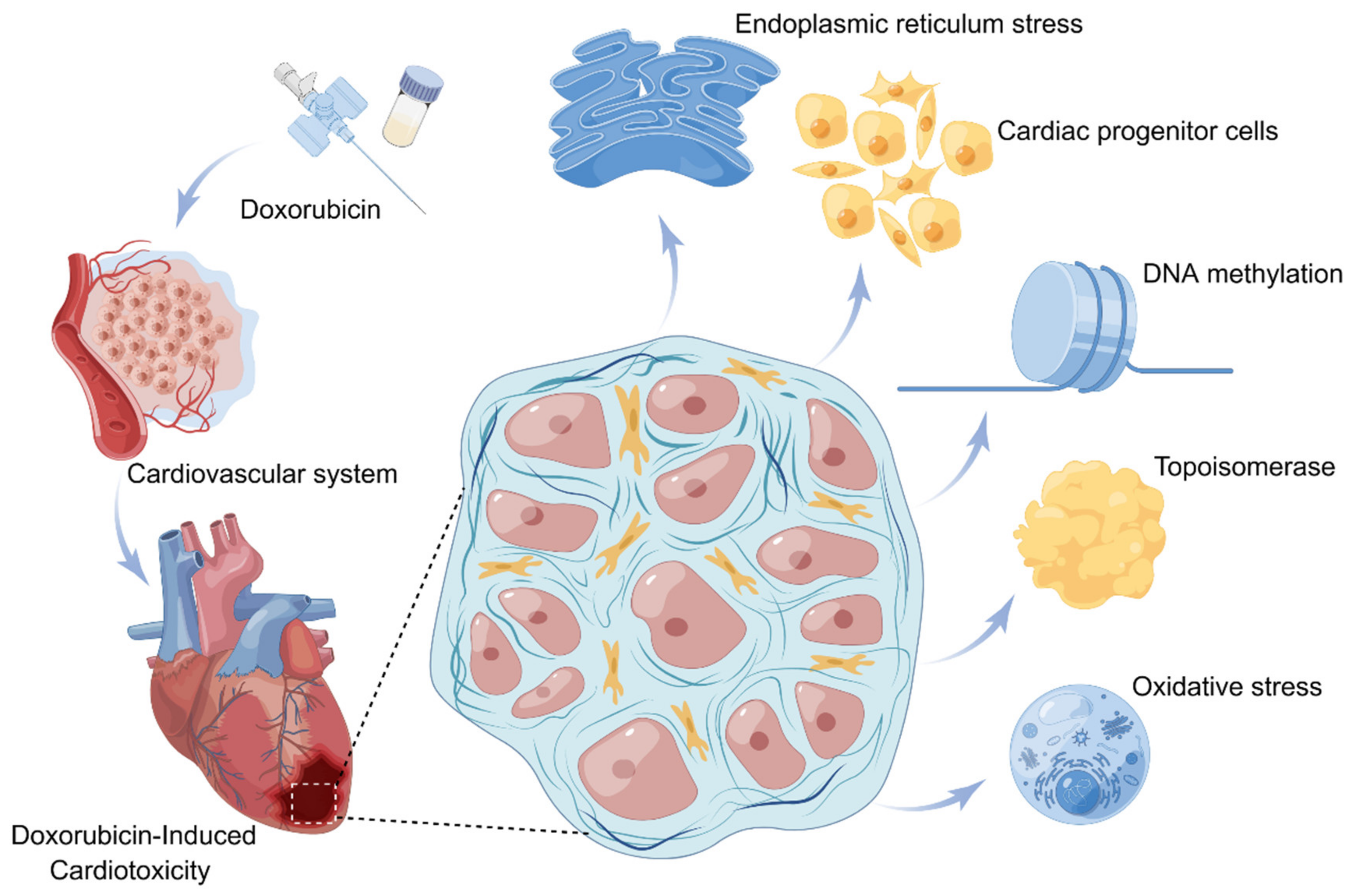 Biomolecules 13 00568 g002