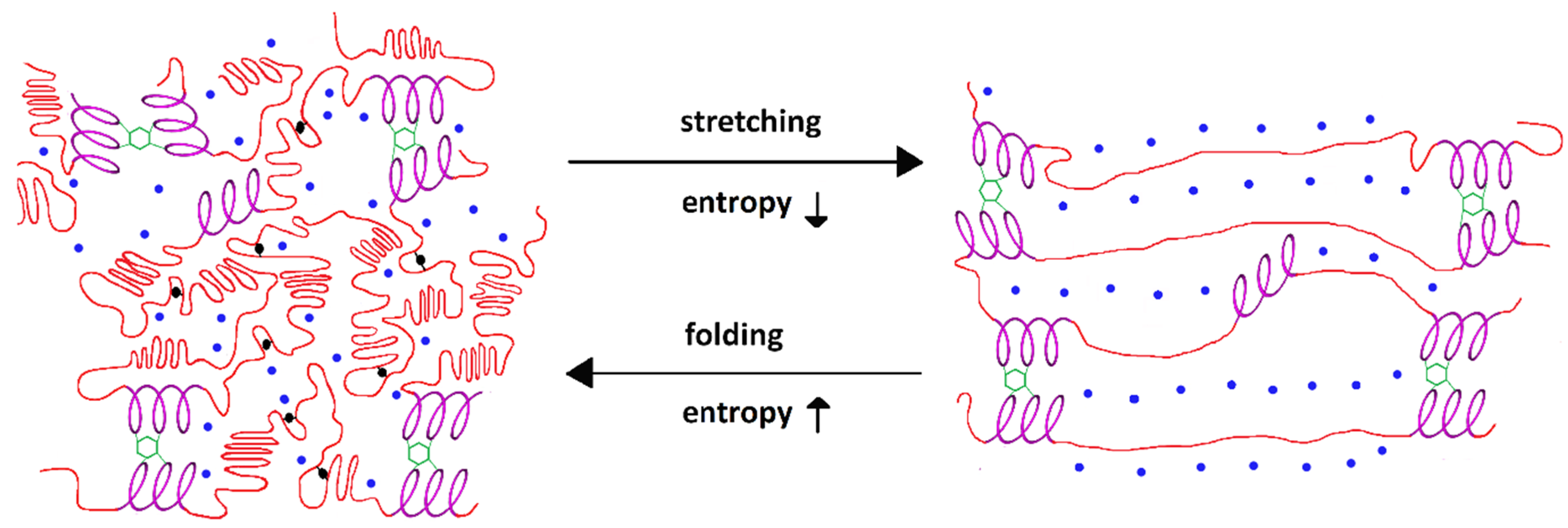 Biomolecules 13 00574 g001 Biomolecules 13 00574 g001