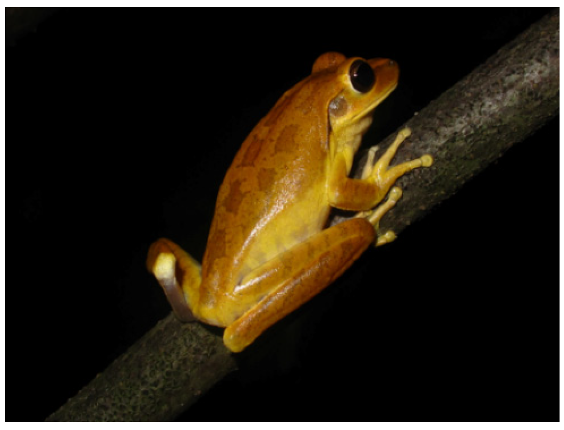 Biomolecules 13 00576 g001