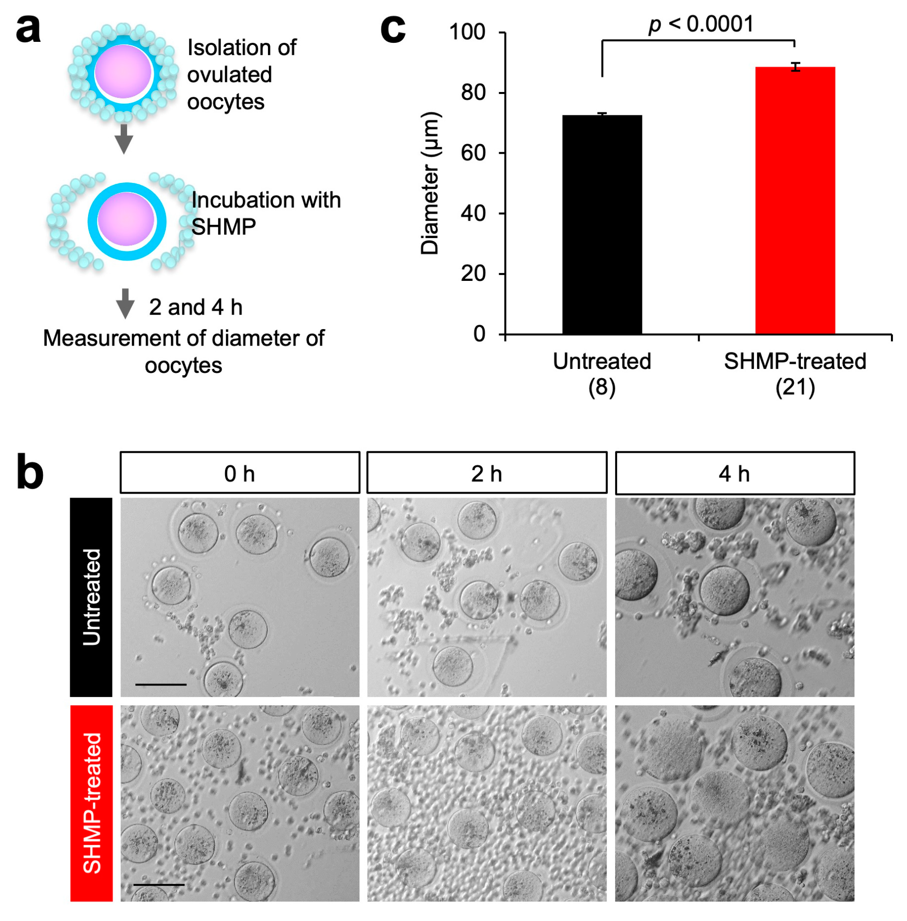 Biomolecules 13 00577 g002