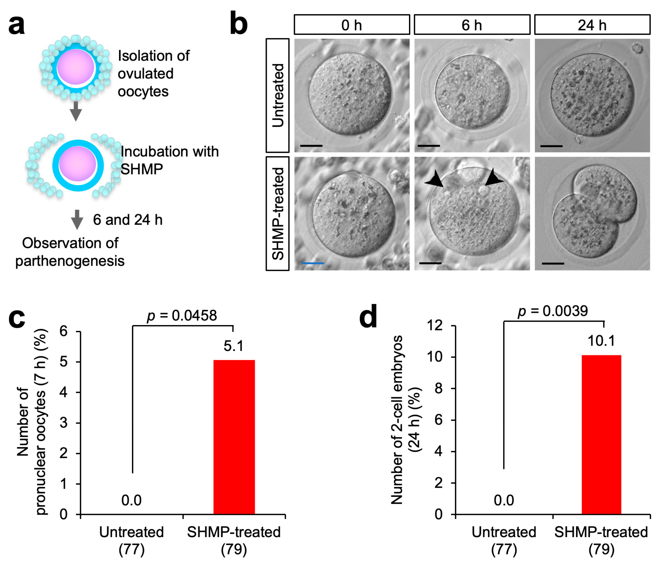 Biomolecules 13 00577 g003
