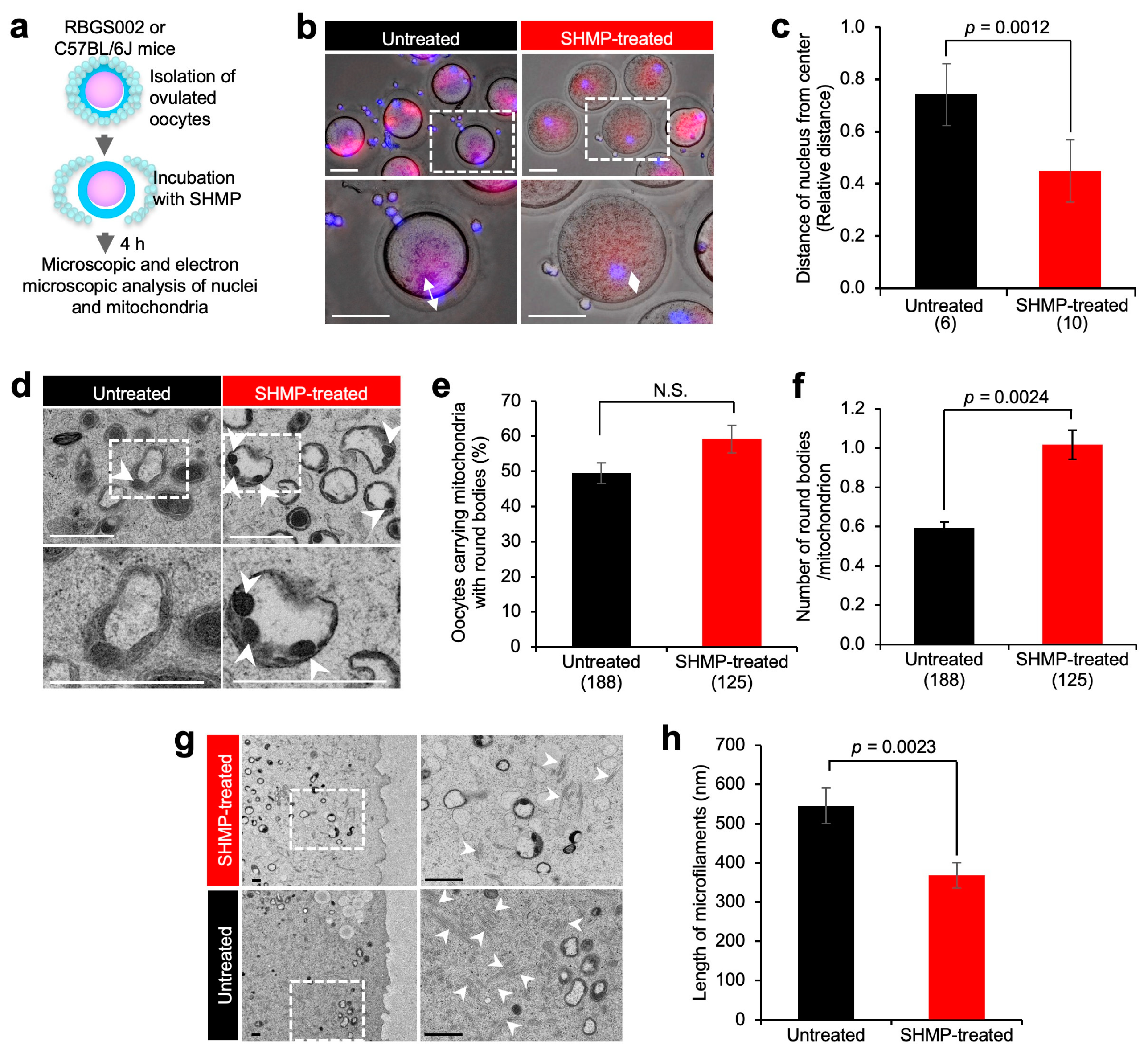 Biomolecules 13 00577 g004