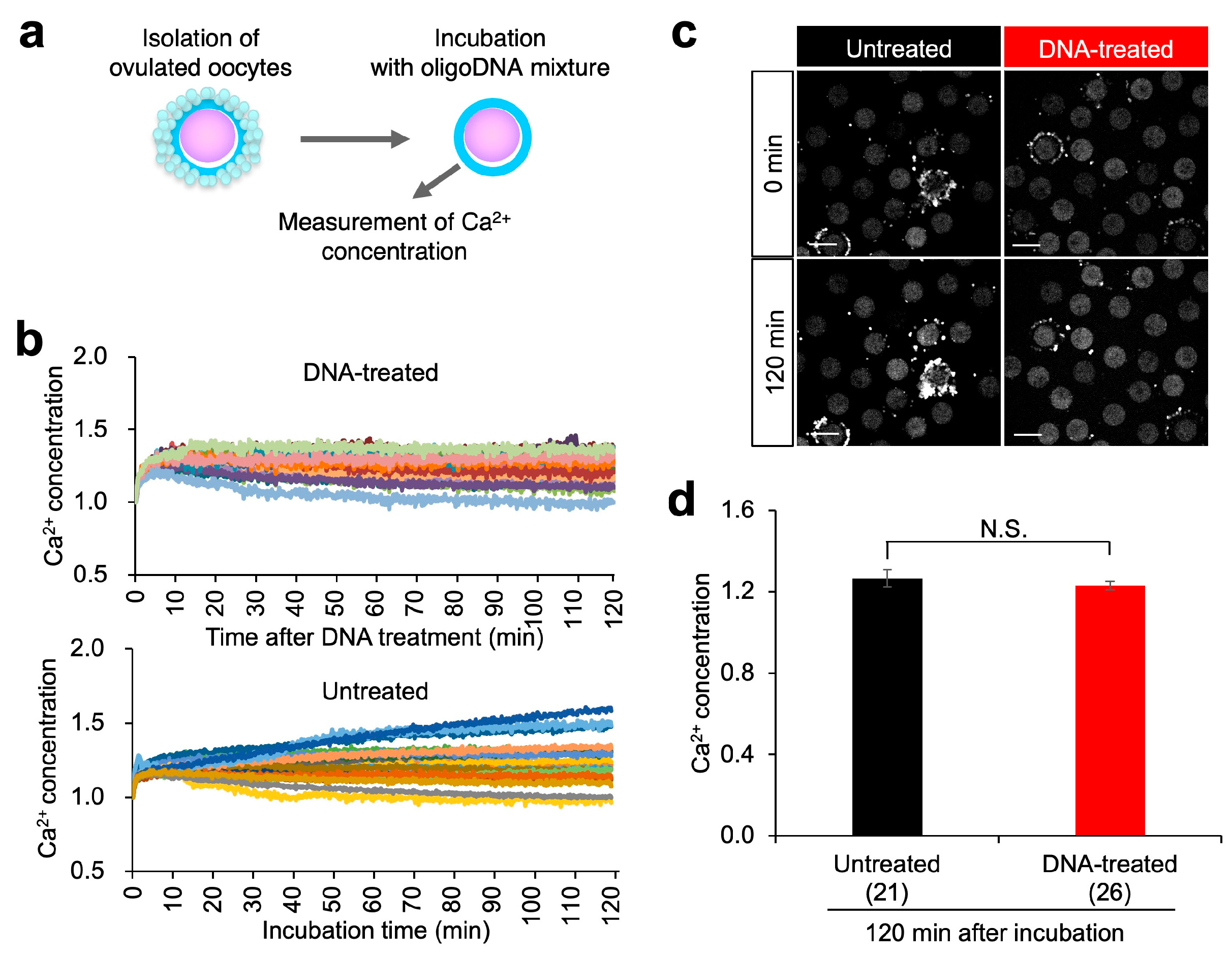 Biomolecules 13 00577 g006