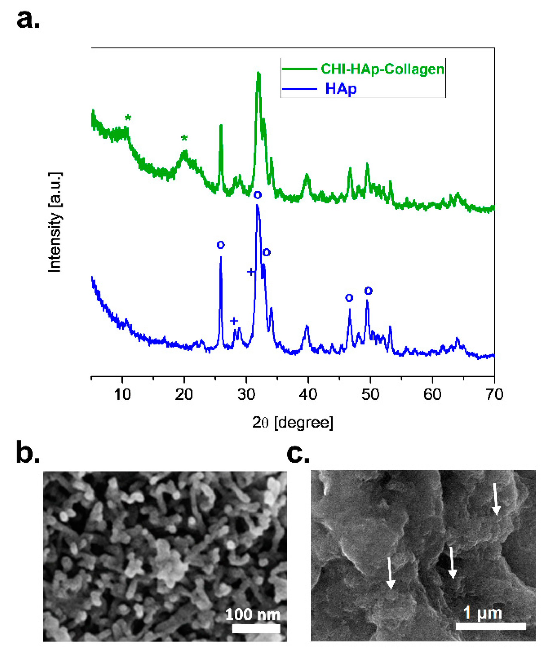 Biomolecules 13 00579 g001
