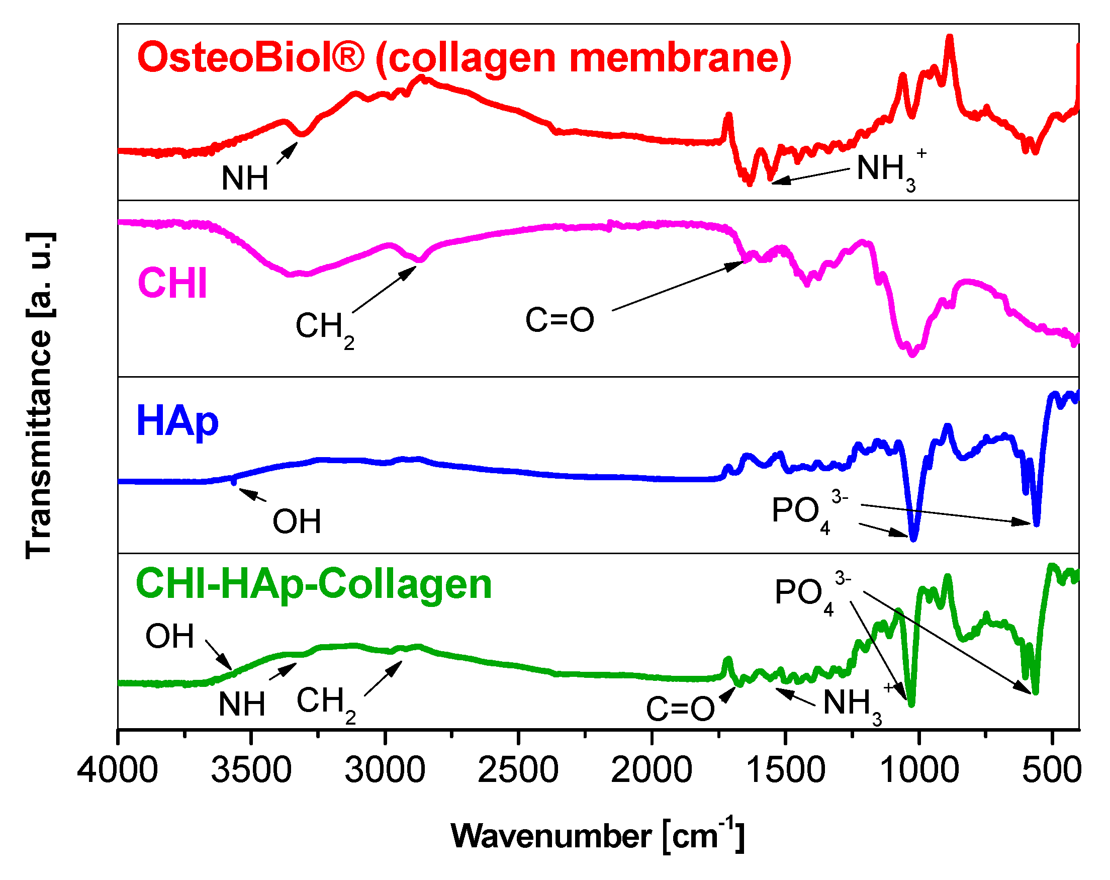 Biomolecules 13 00579 g002