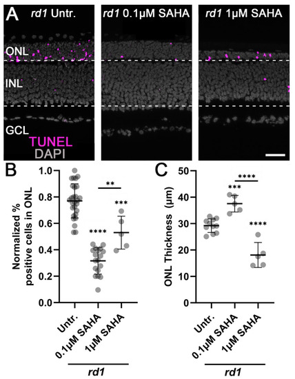 Biomolecules 13 00581 g0a1