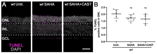 Biomolecules 13 00581 g0a2