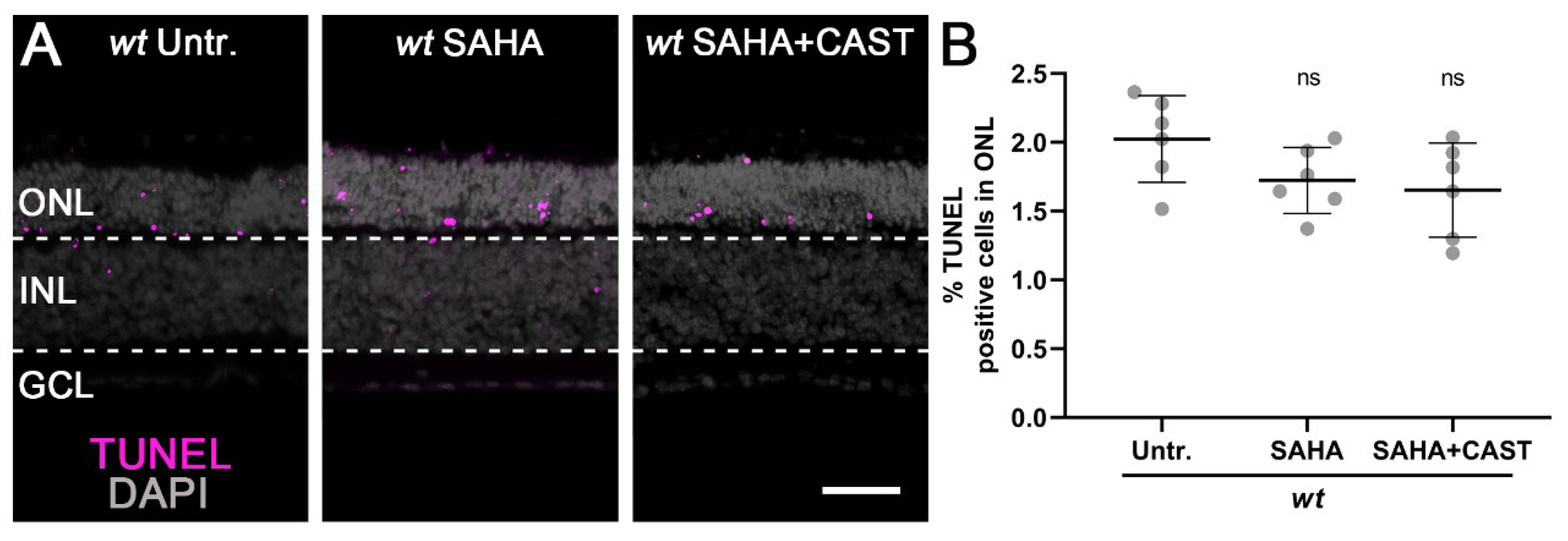Biomolecules 13 00581 g0a2