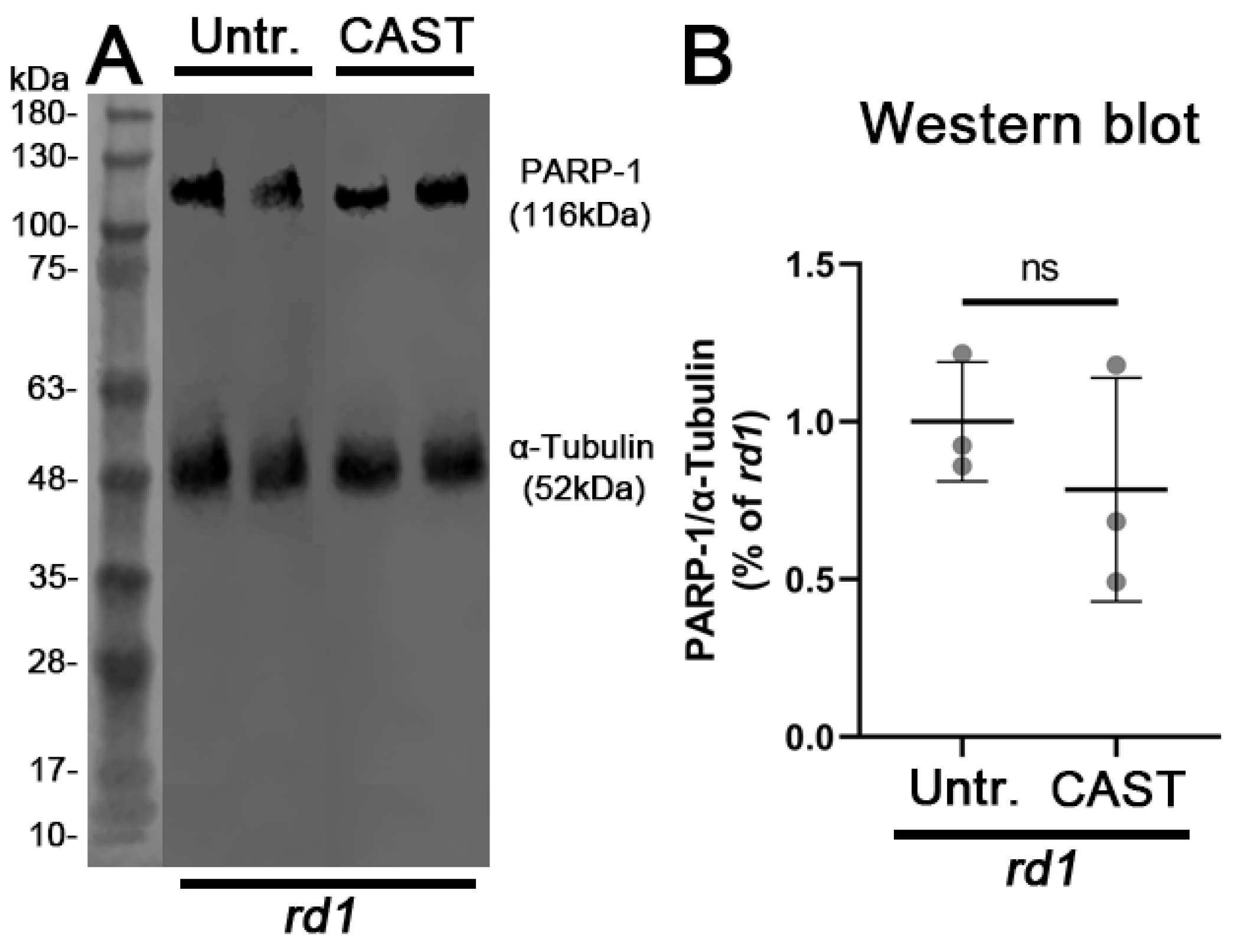 Biomolecules 13 00581 g0a3