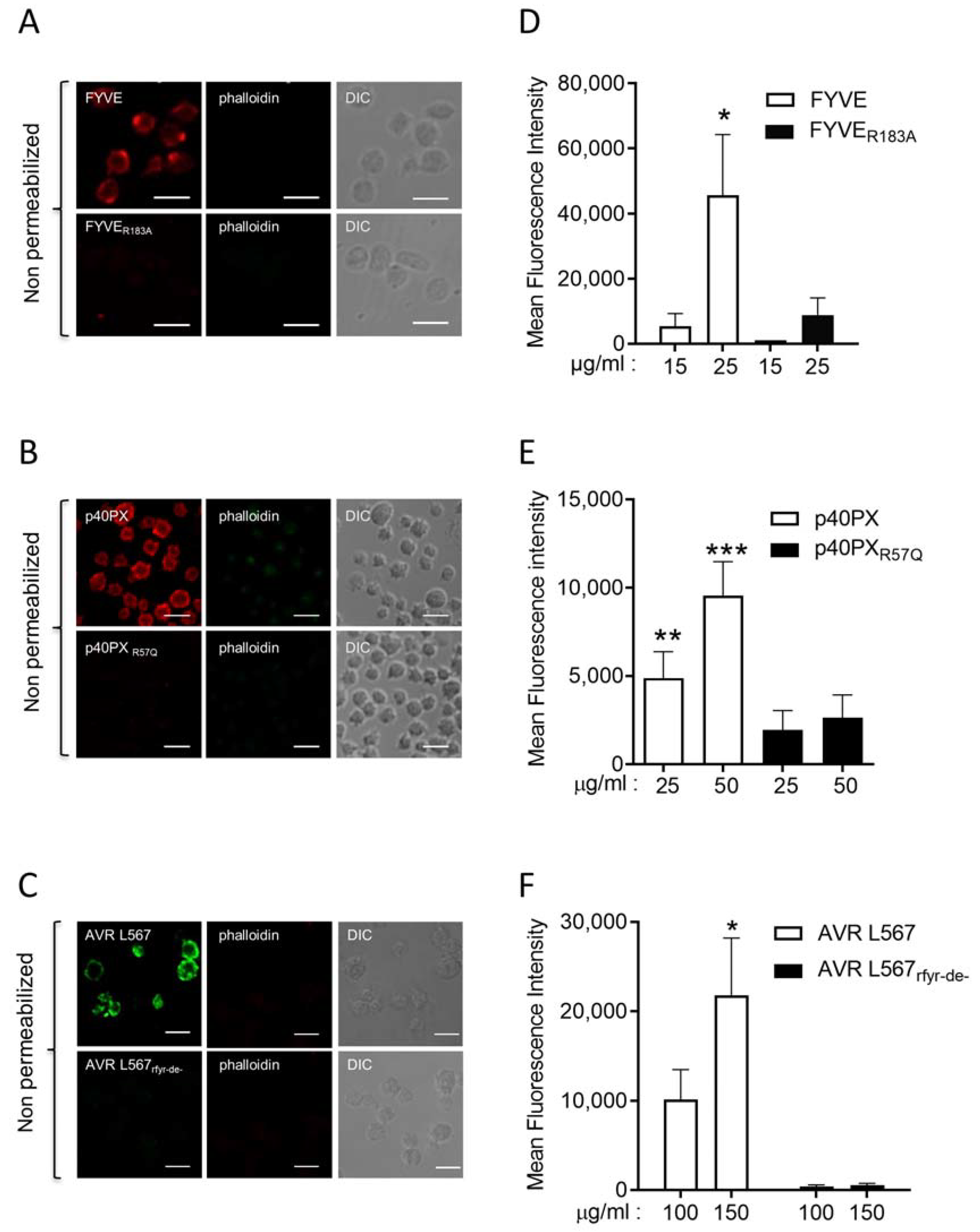 Biomolecules 13 00583 g002