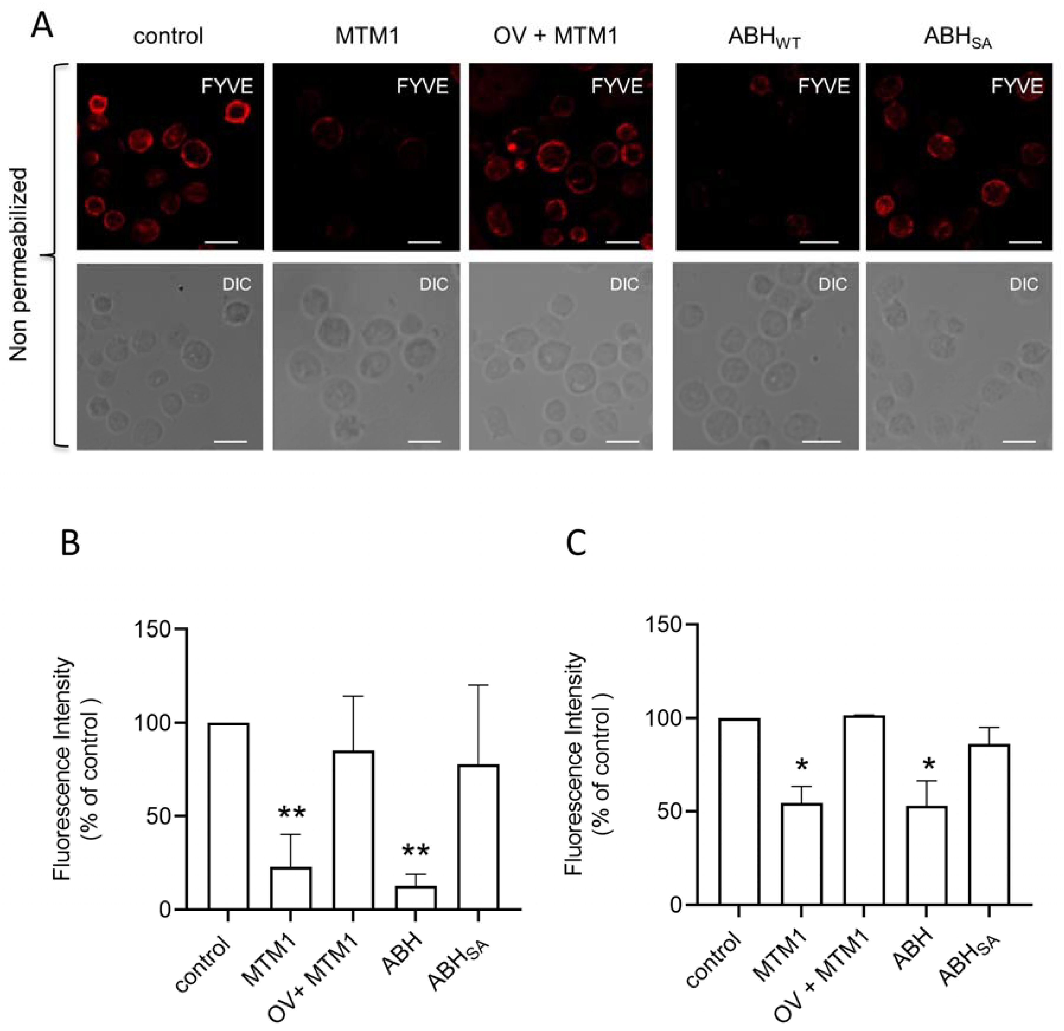 Biomolecules 13 00583 g004