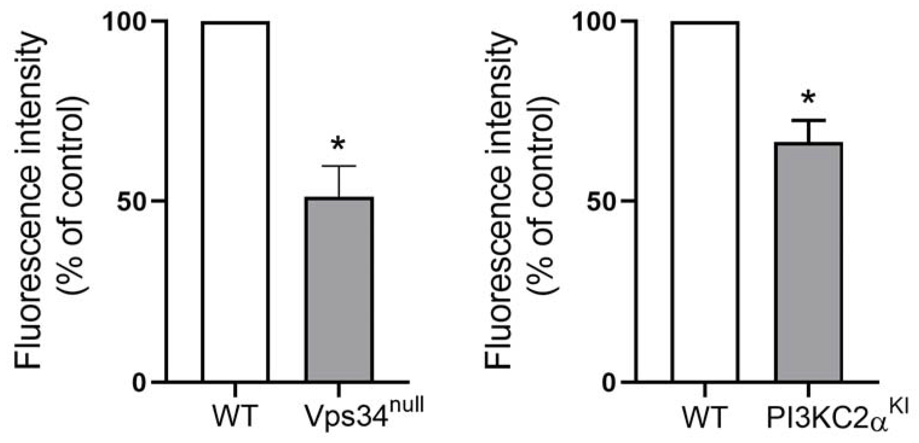 Biomolecules 13 00583 g005