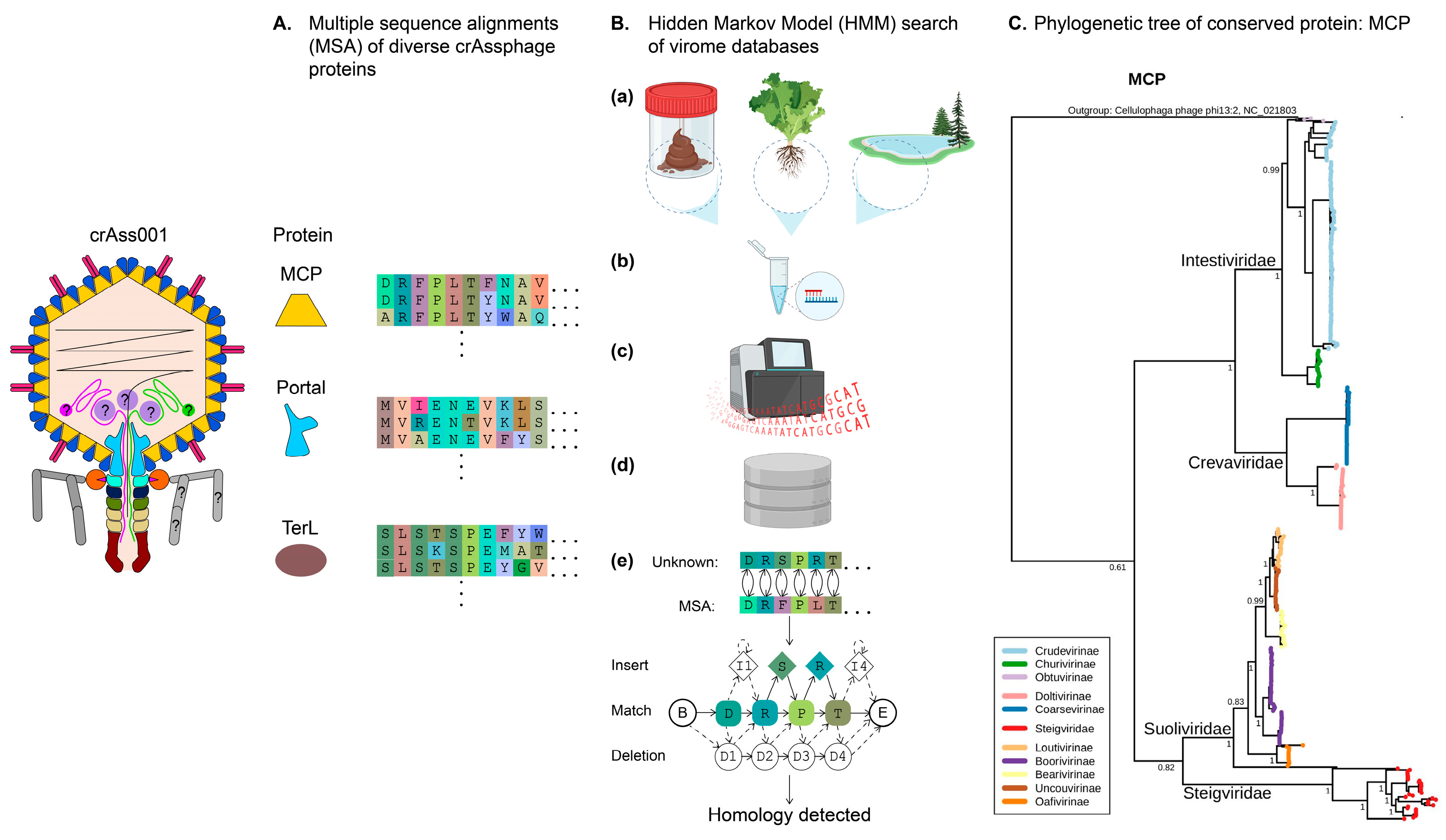 Biomolecules 13 00584 g001