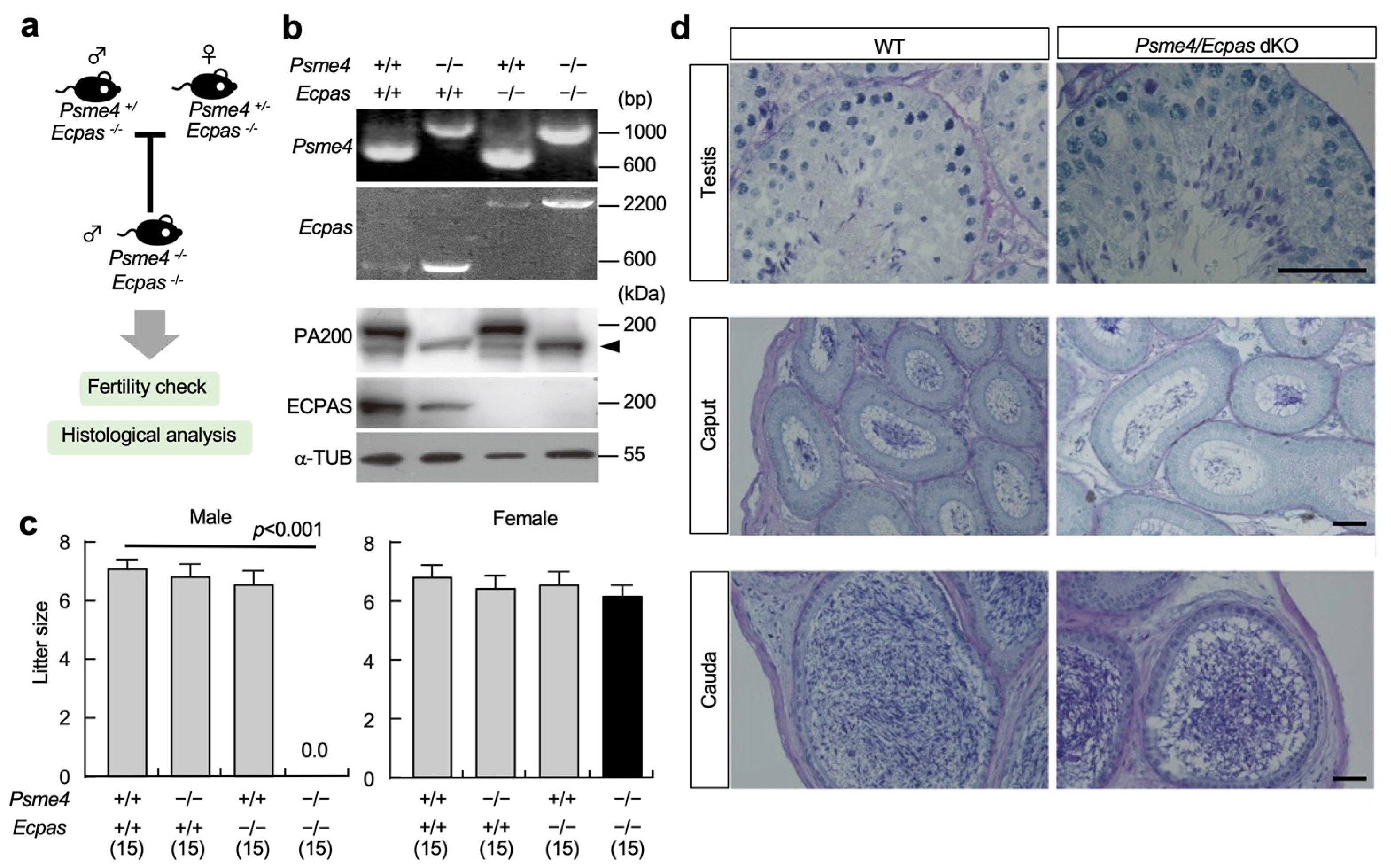 Biomolecules 13 00586 g002