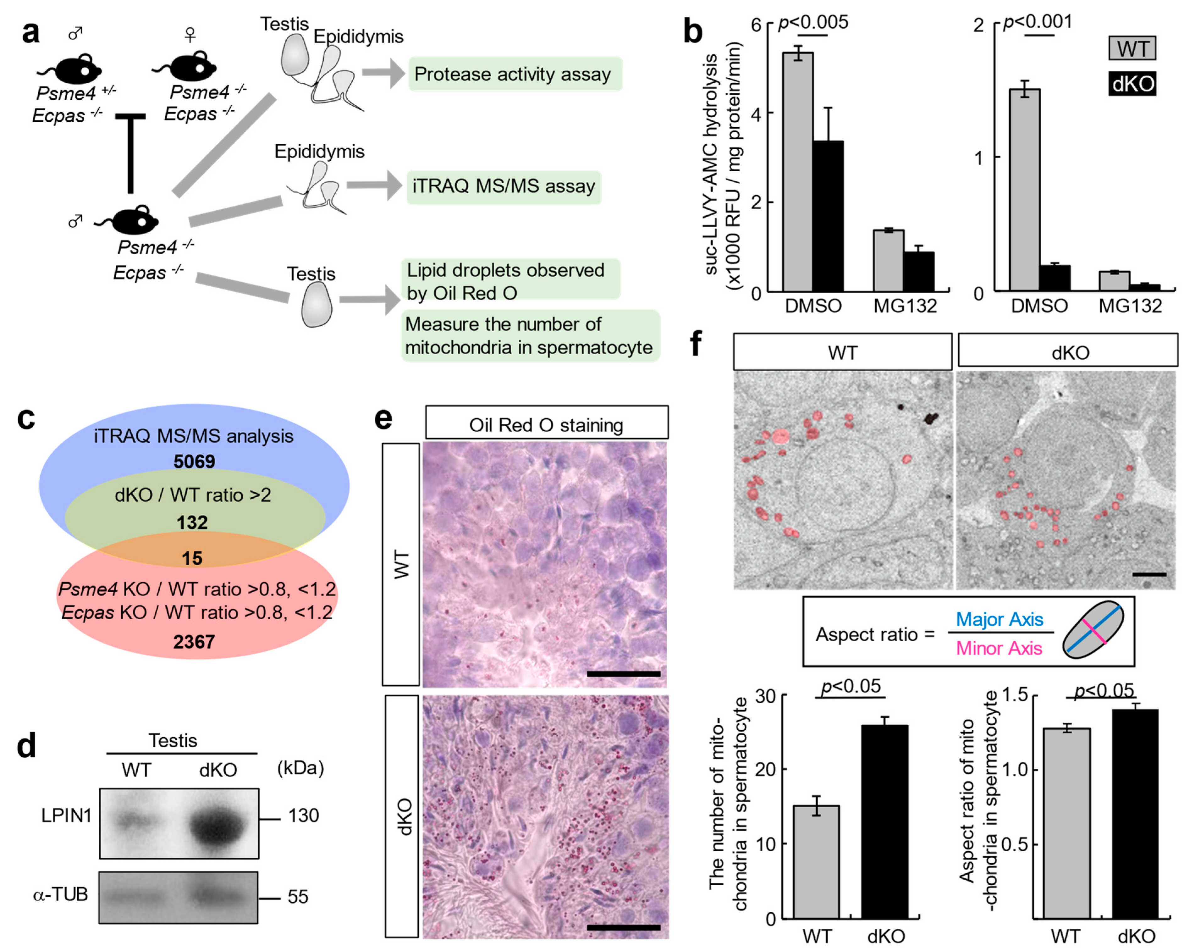 Biomolecules 13 00586 g003