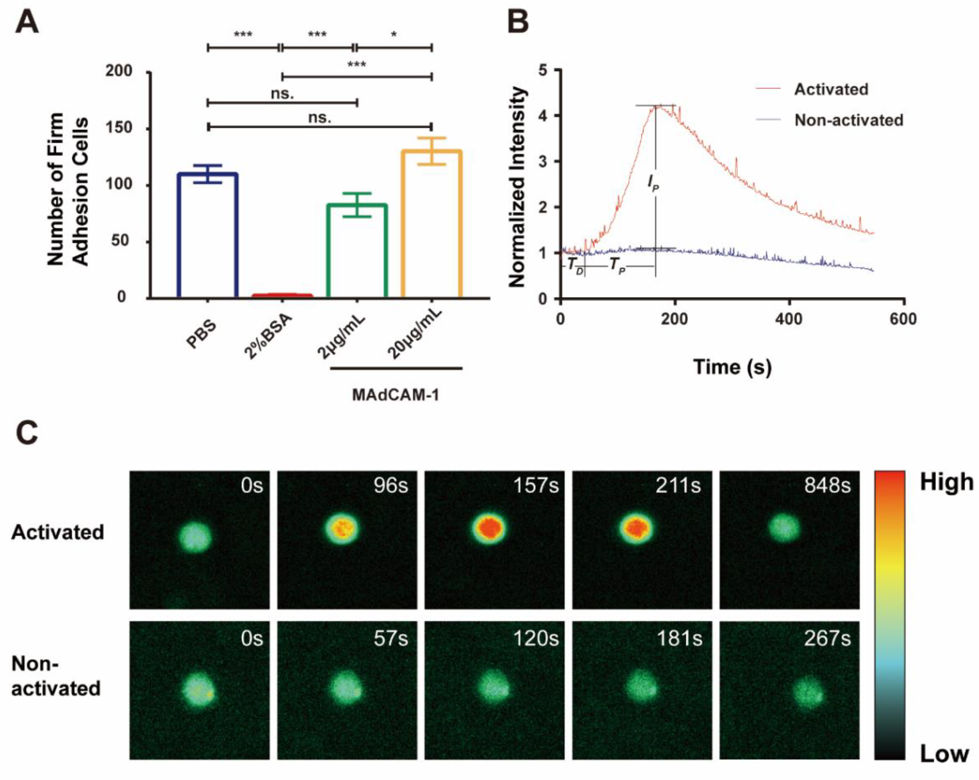 Biomolecules 13 00587 g002