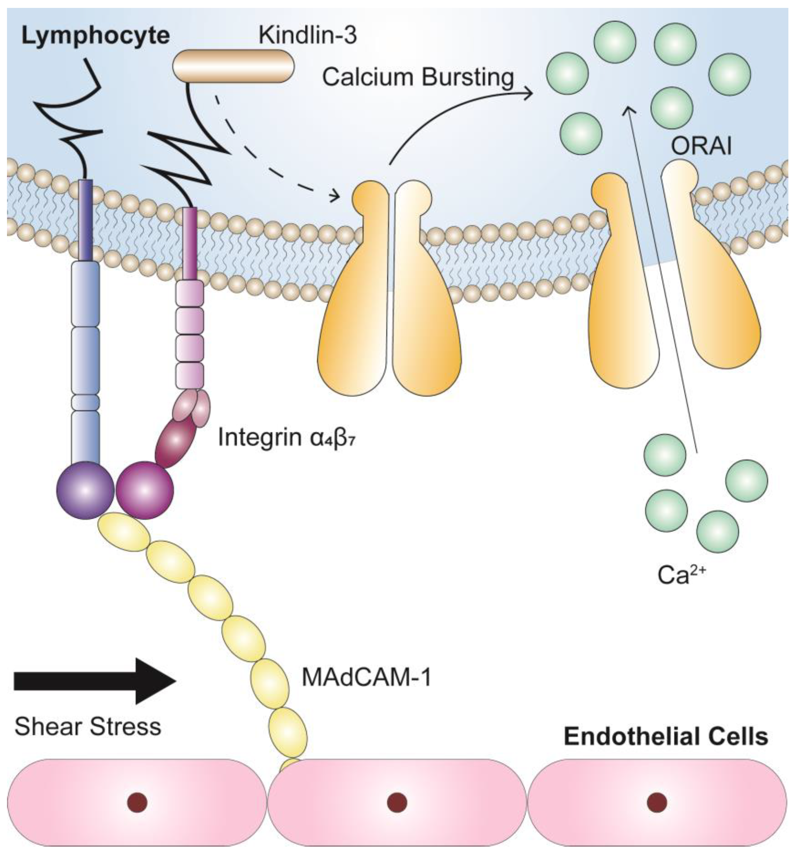 Biomolecules 13 00587 g007