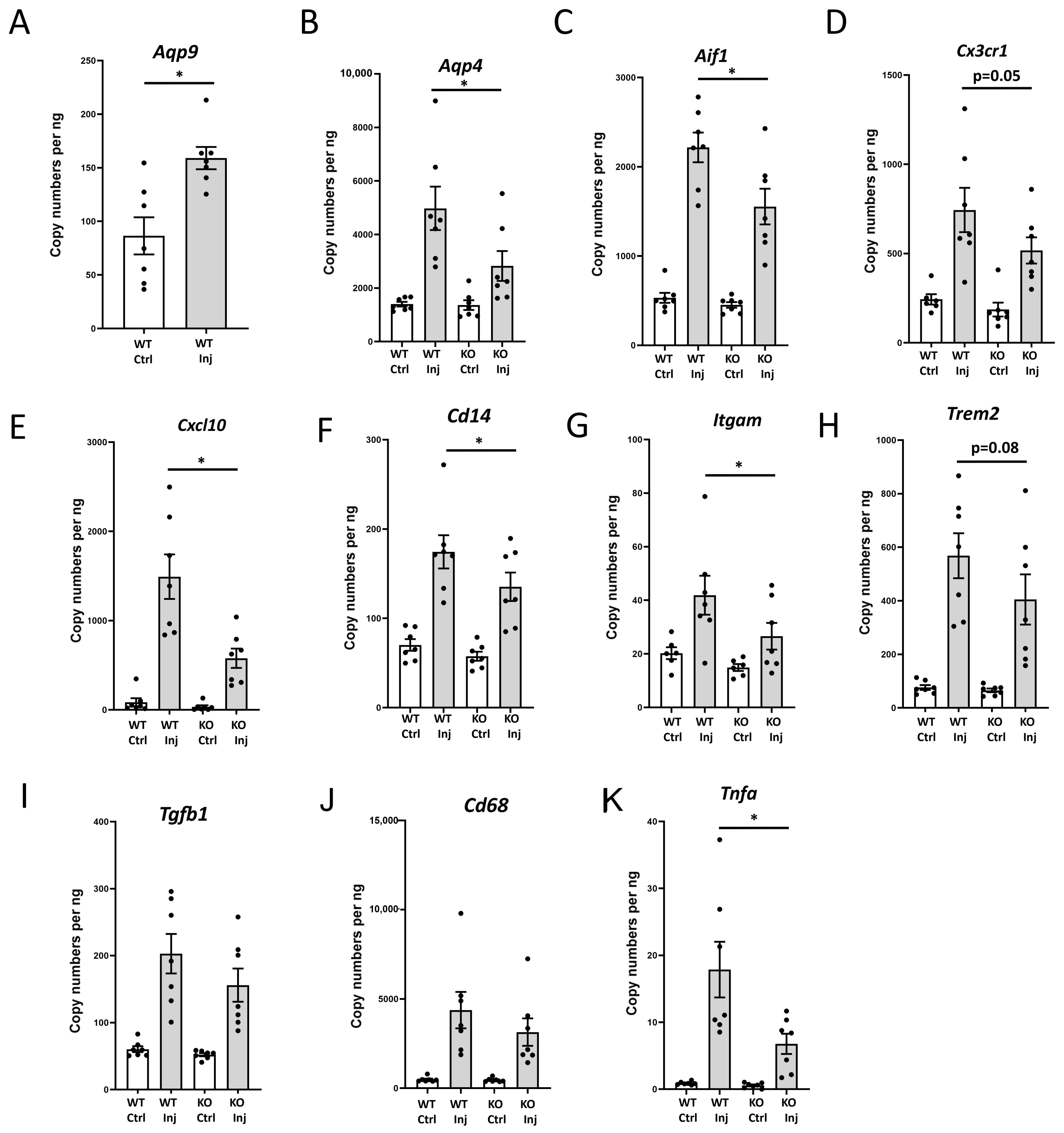 Biomolecules 13 00588 g001