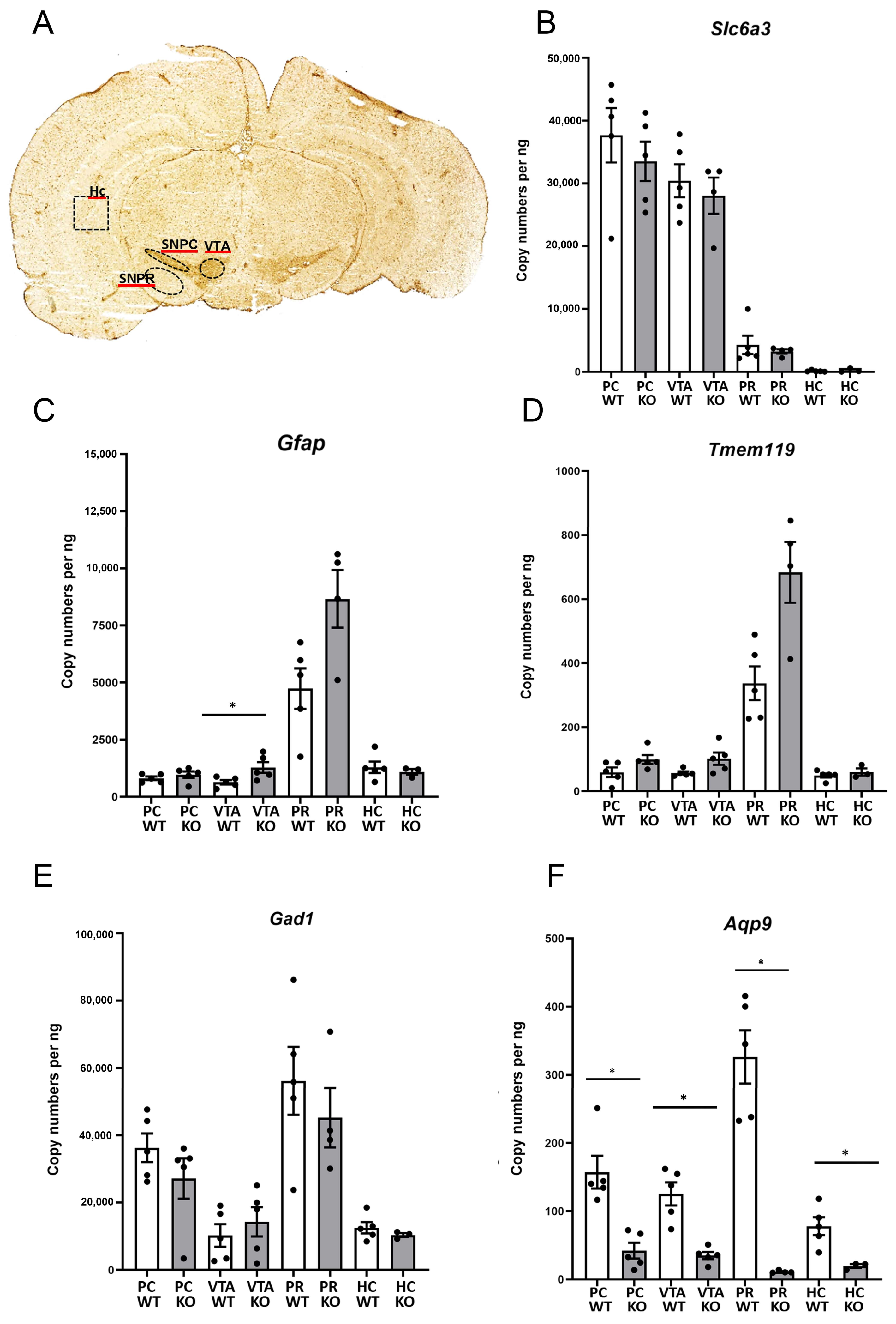 Biomolecules 13 00588 g004