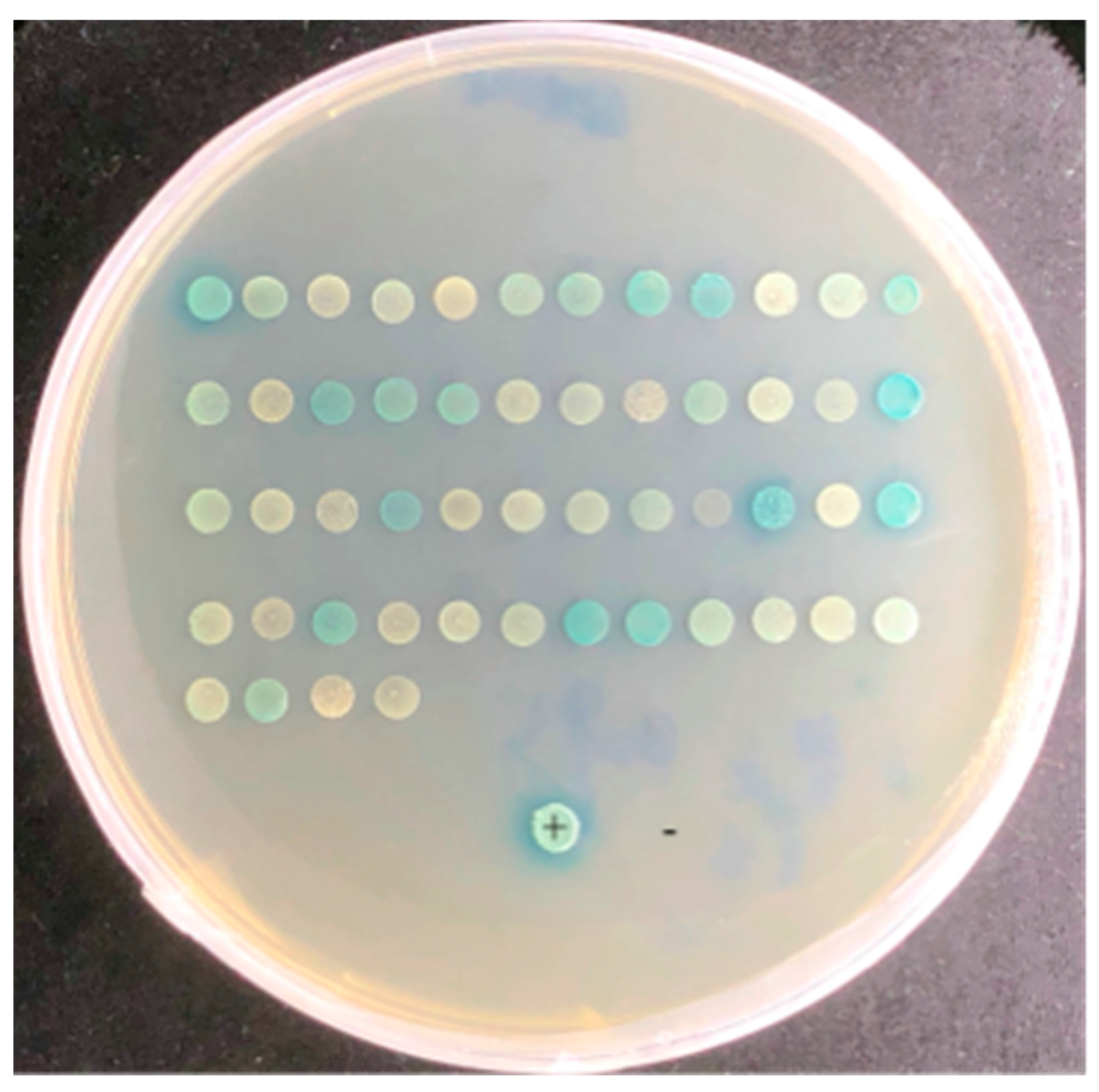 Biomolecules 13 00590 g001