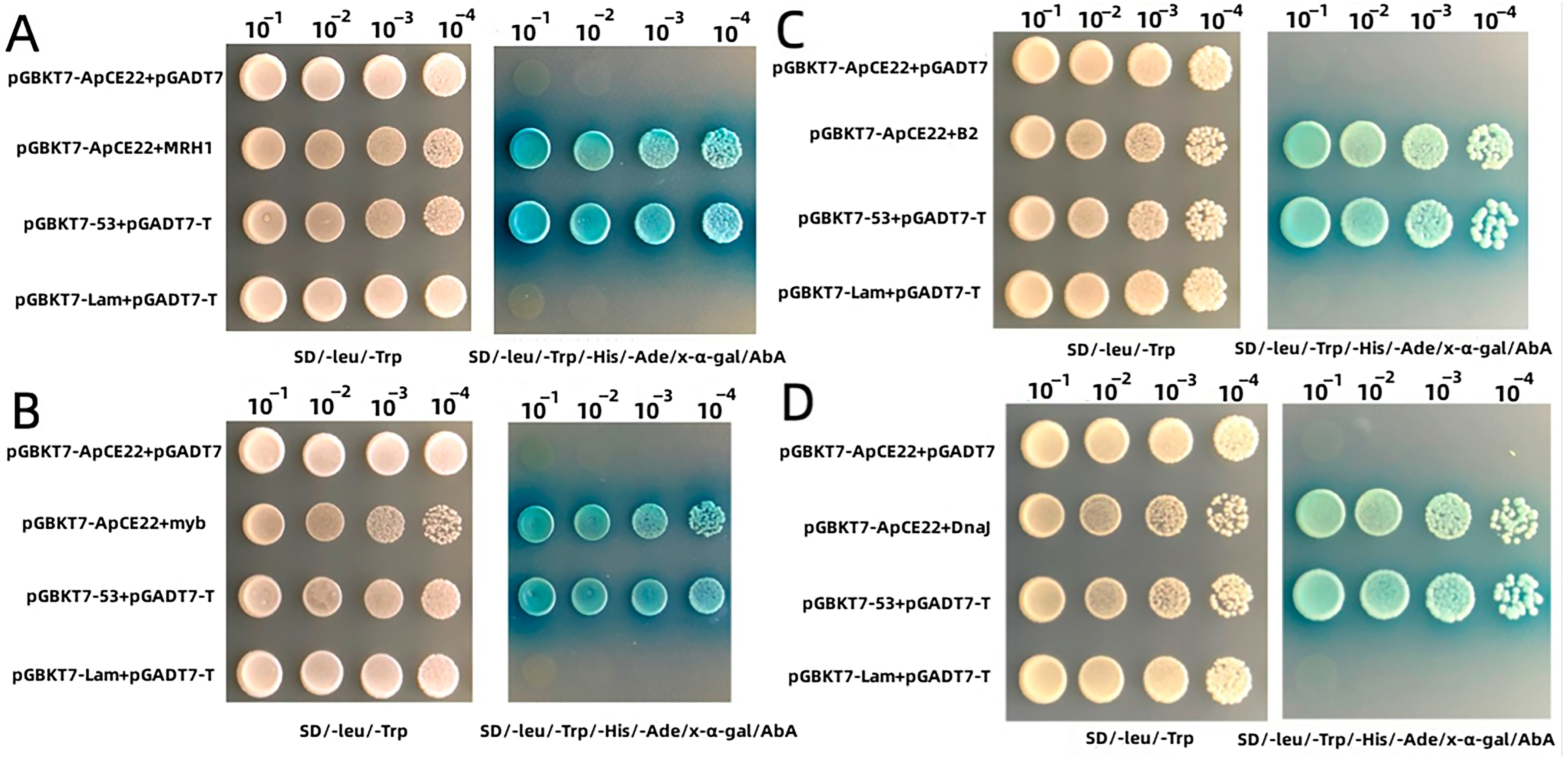 Biomolecules 13 00590 g002